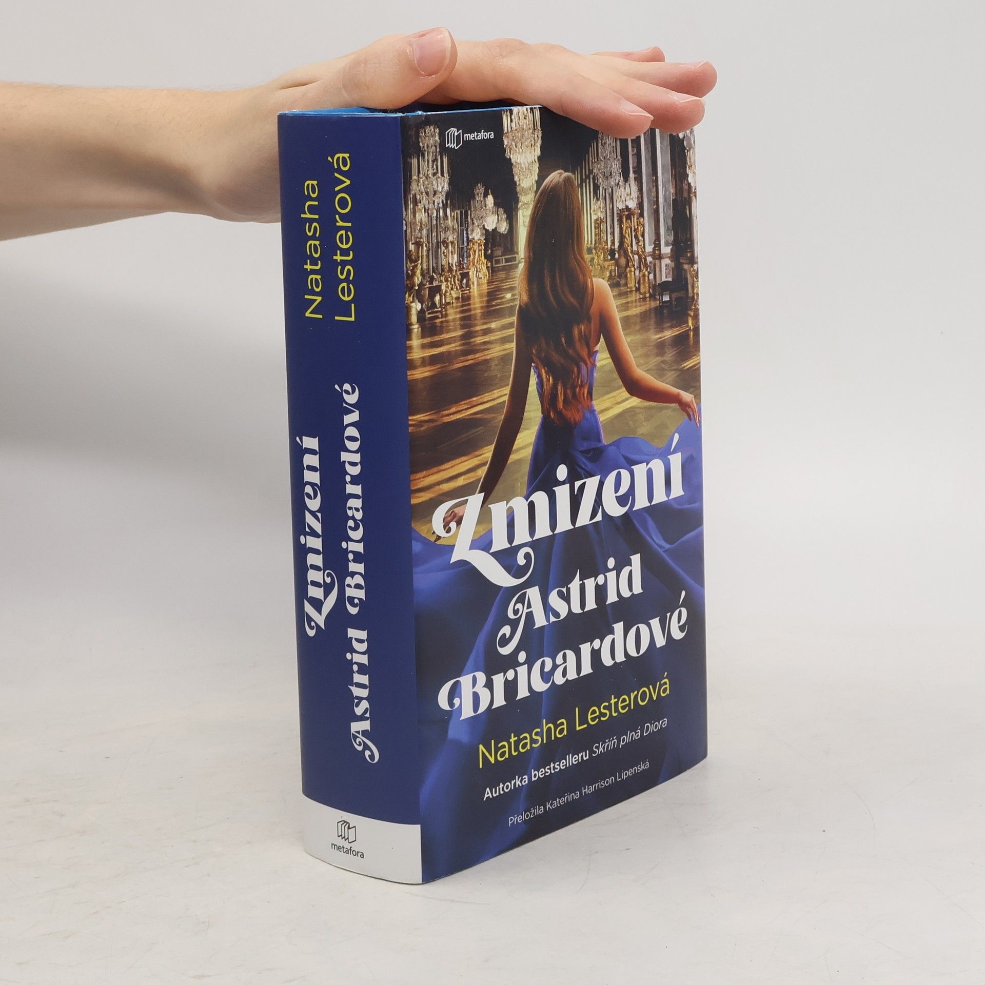 Kateřina Harrison Lipenská Zmizení Astrid Bricardové