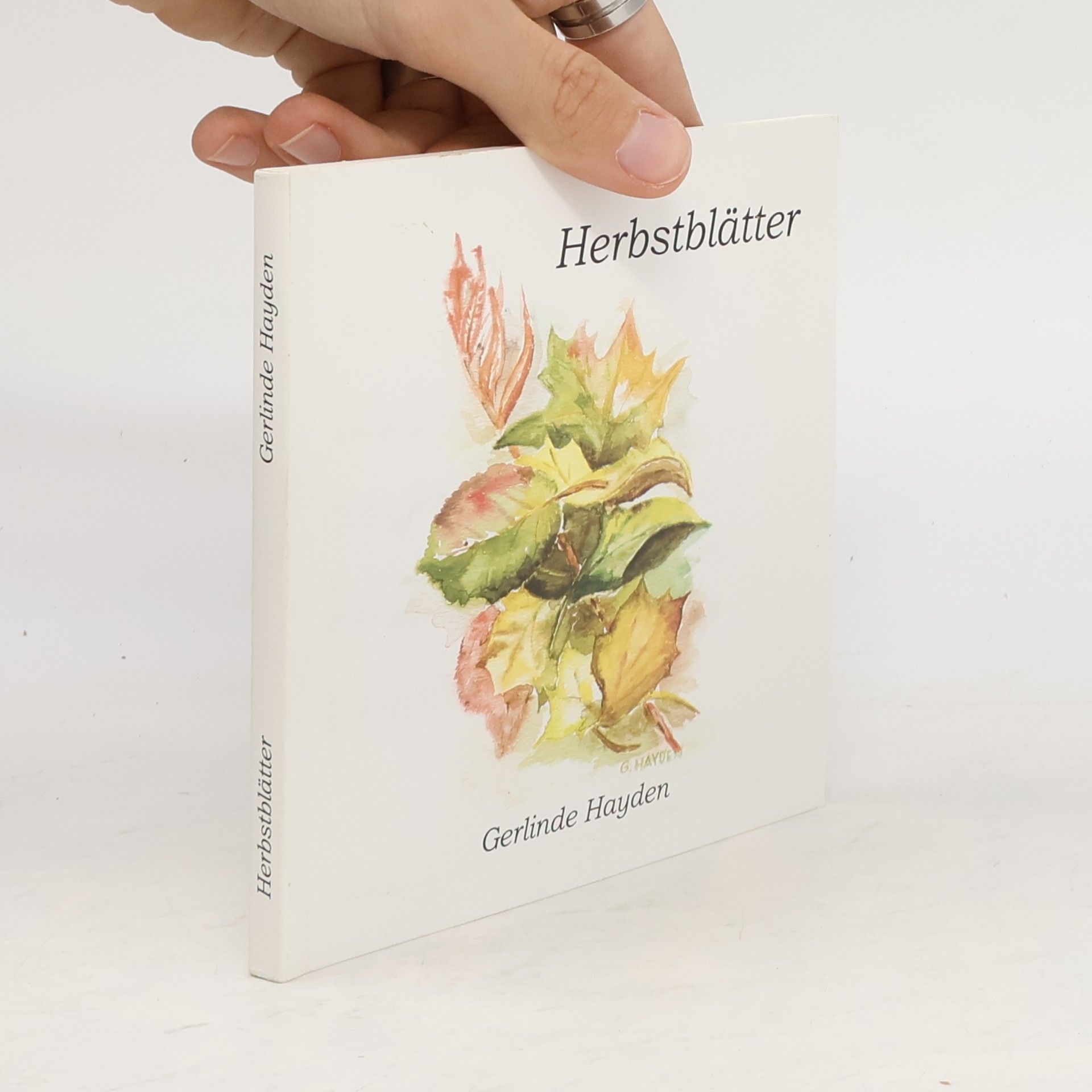Gerlinde Hayden Herbstblätter
