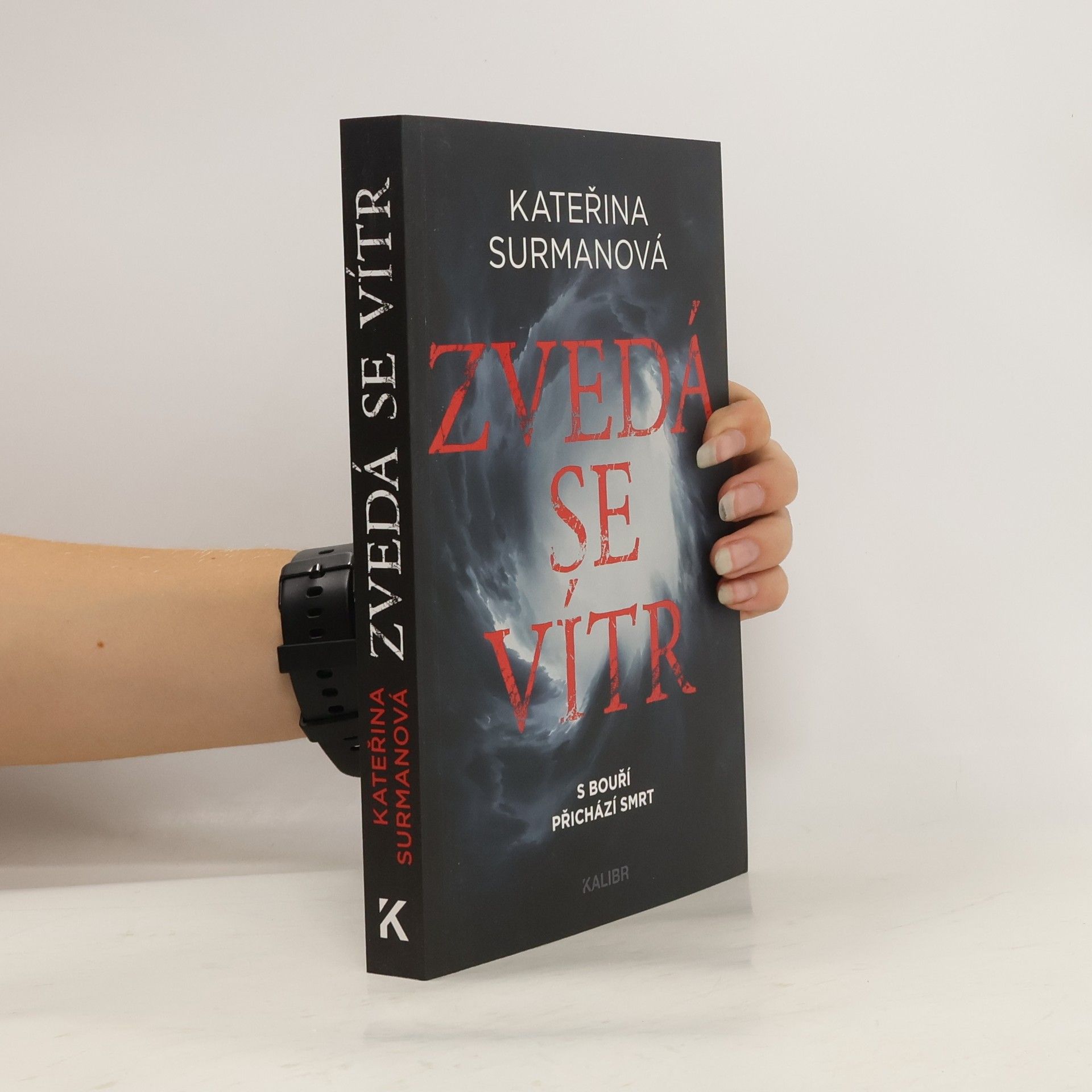 Kateřina Surmanová Zvedá se vítr