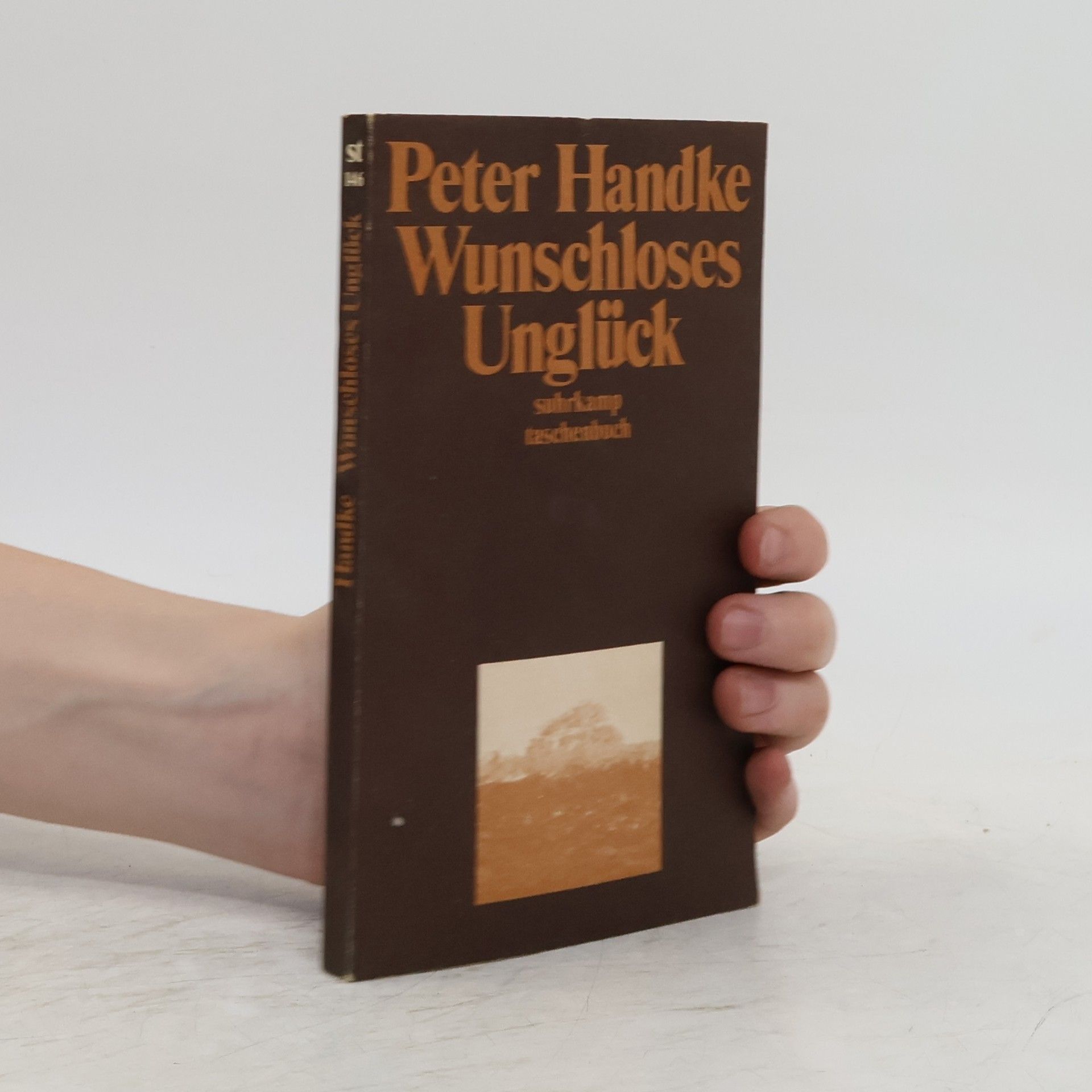 Peter Handke Wunschloses Unglück: Erzählung