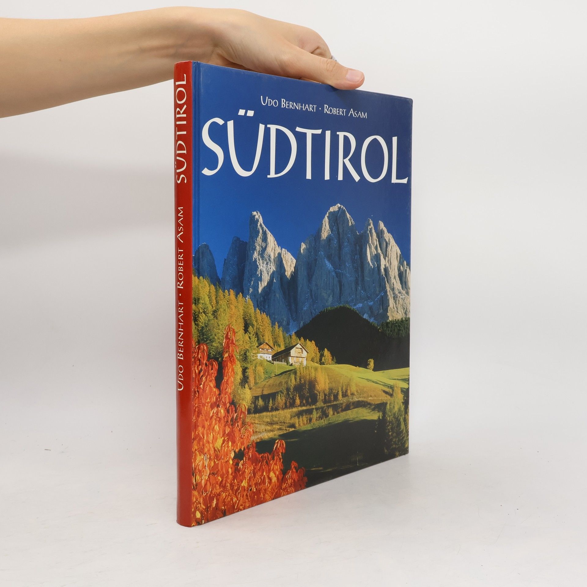 Udo Bernhart Südtirol