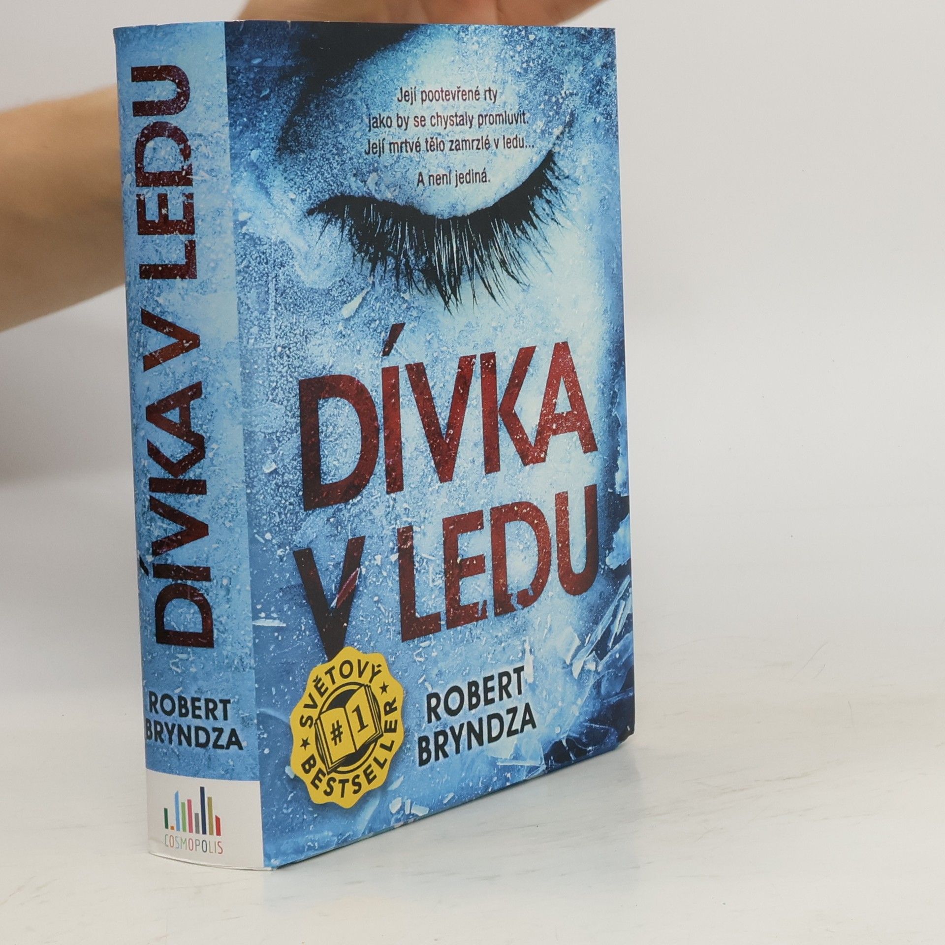 Robert Bryndza Dívka v ledu