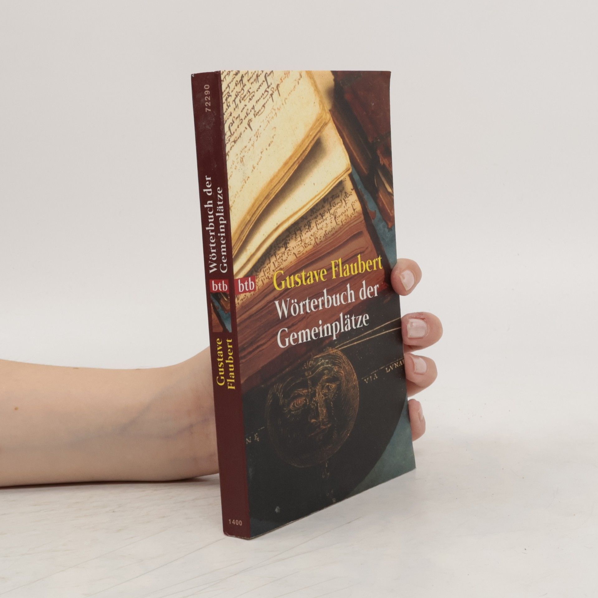 Gustave Flaubert Wörterbuch der Geminplätze