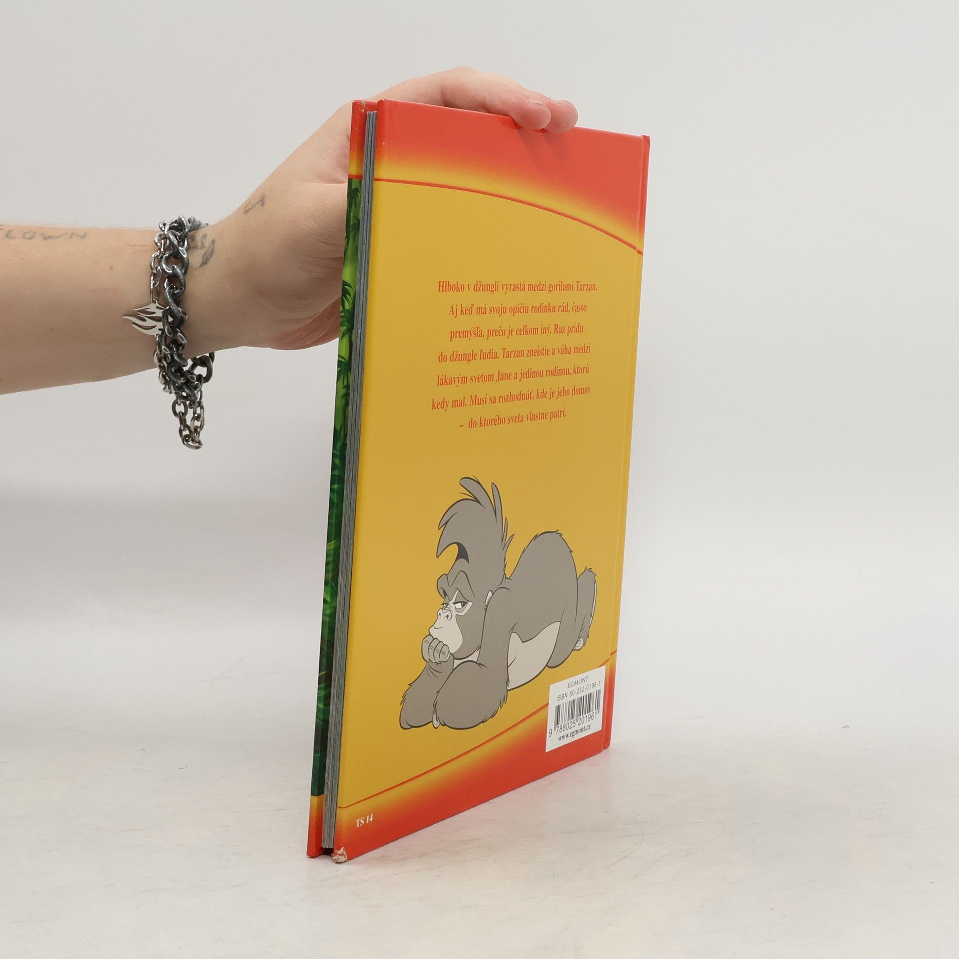 Autorenkollektiv Tarzan