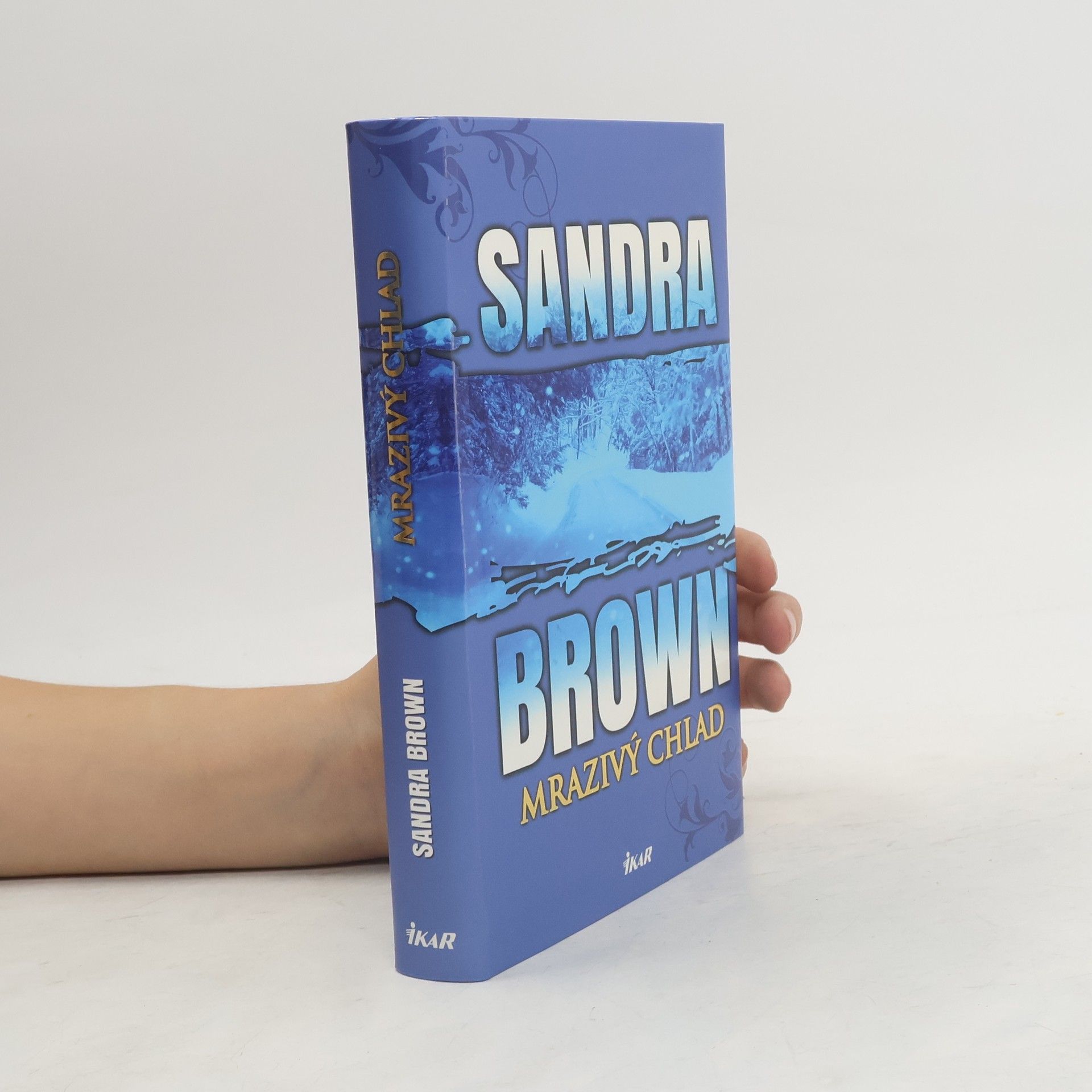 Sandra Brown Mrazivý chlad