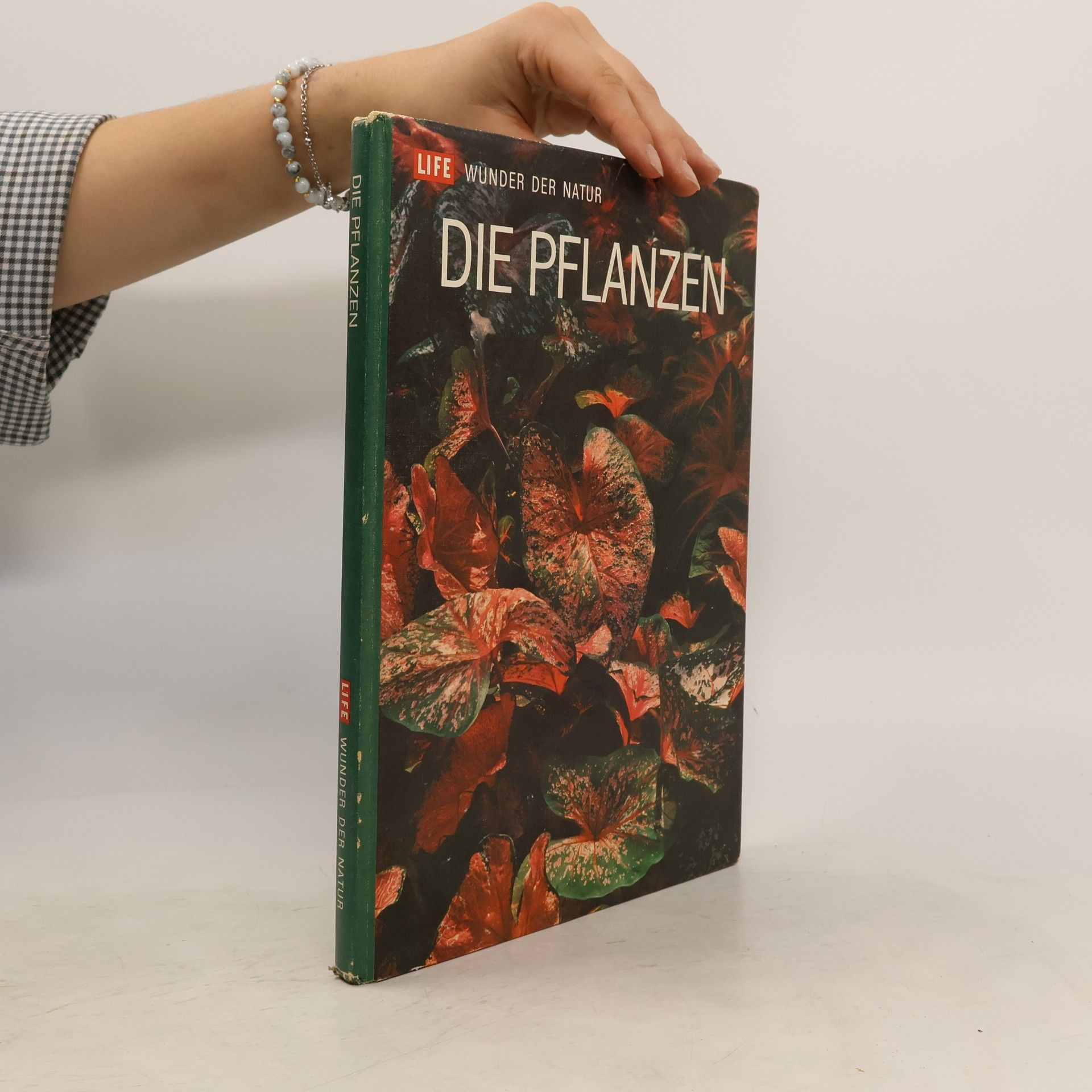AA.VV. Die Pflanzen
