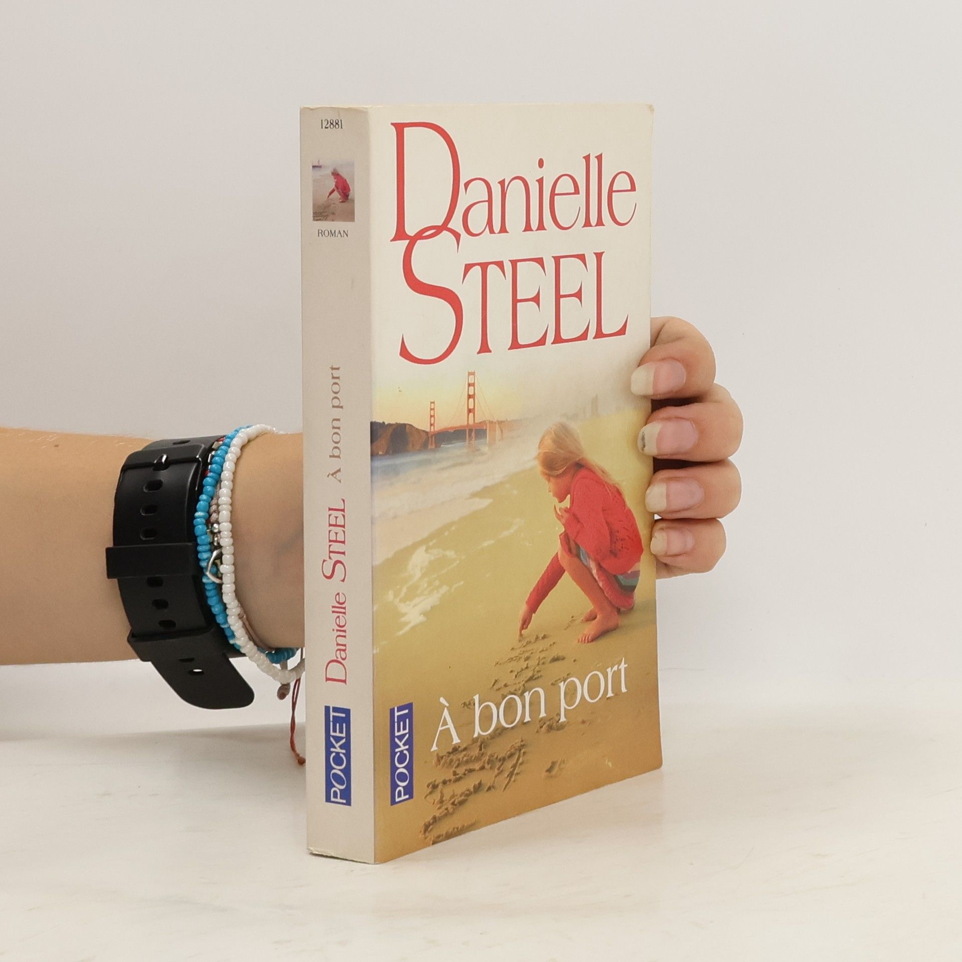 Danielle Steel À bon port