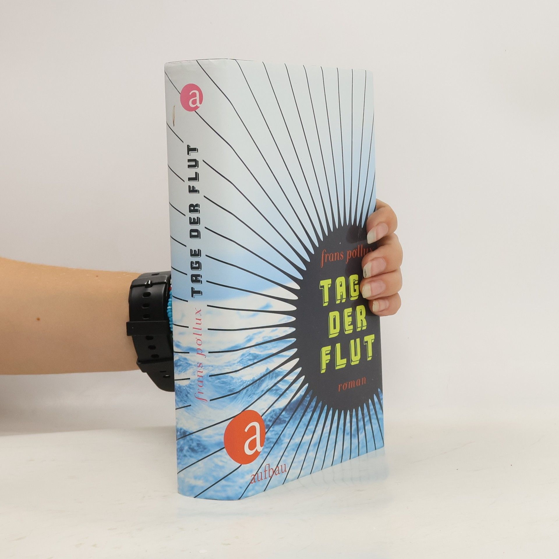 Frans Pollux Tage der Flut
