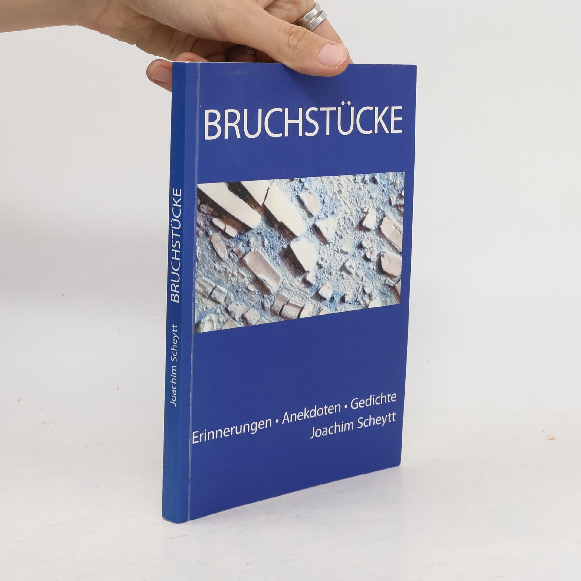 Joachim Scheytt Bruchstücke