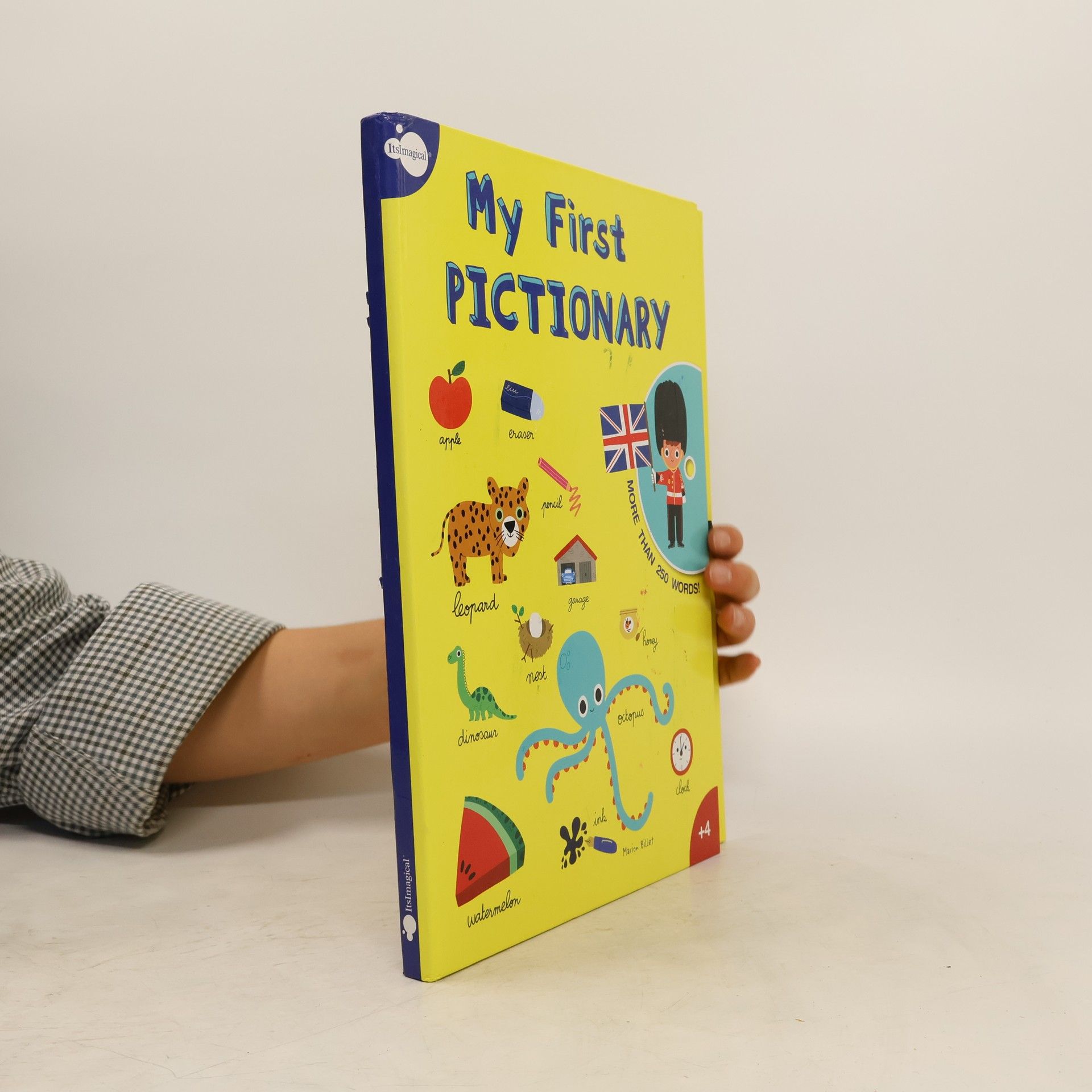 Various authors My First Pictionary