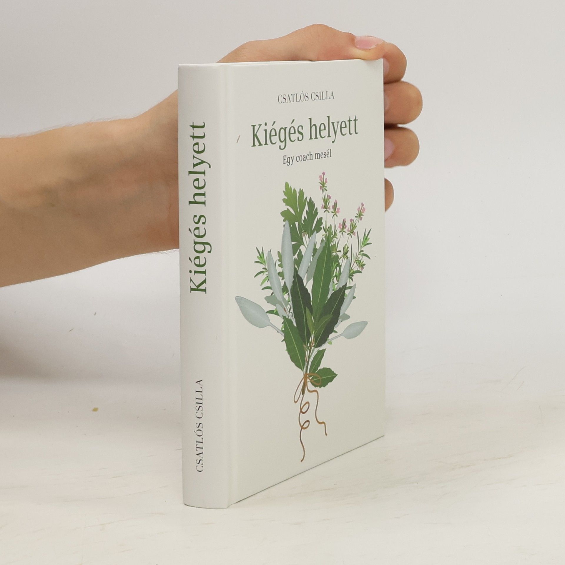 Csatlós Csilla Kiégés helyett