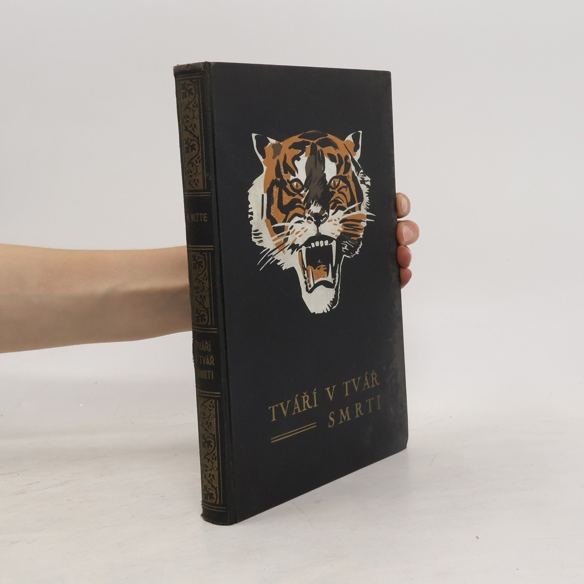 Collectif d'auteurs Tváří v tvář smrti