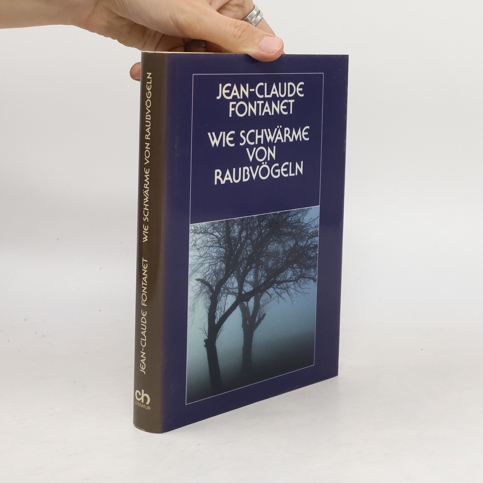 Jean-Claude Fontanet Wie Schwärme von Raubvögeln