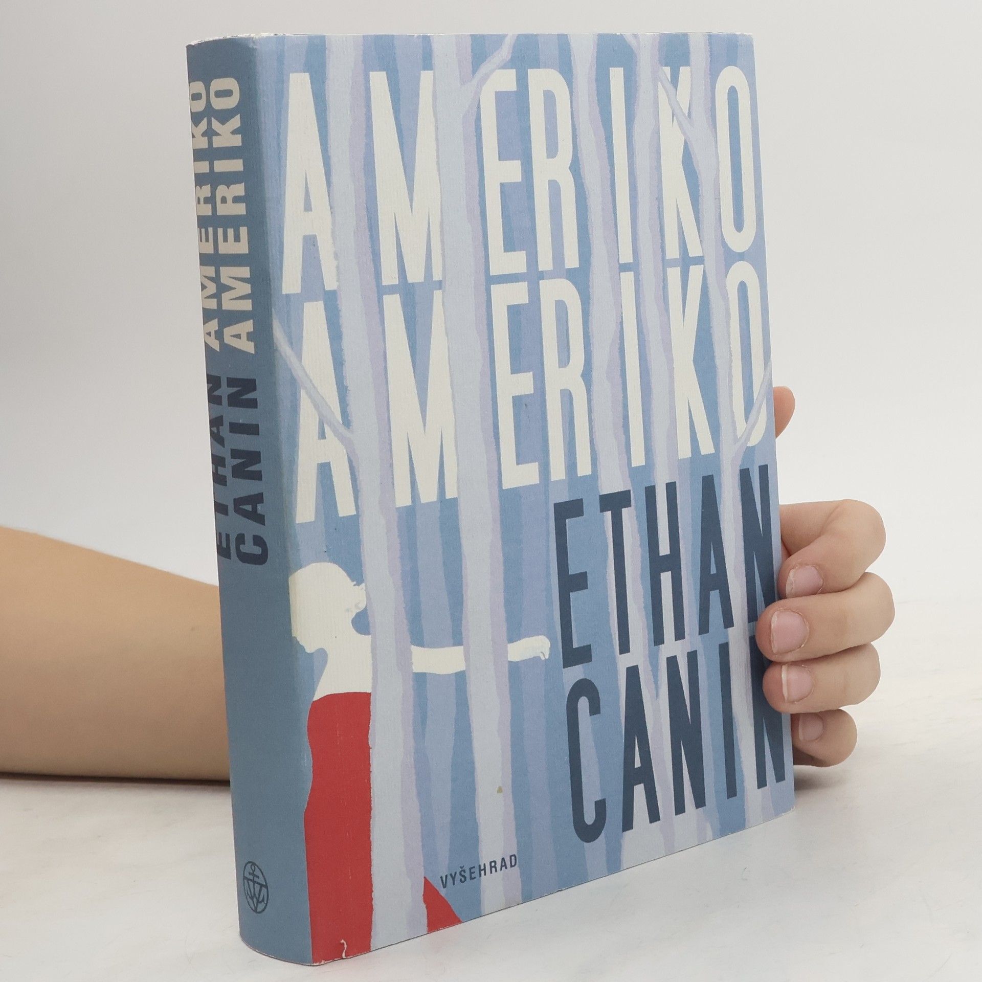 Ethan Canin Ameriko, Ameriko