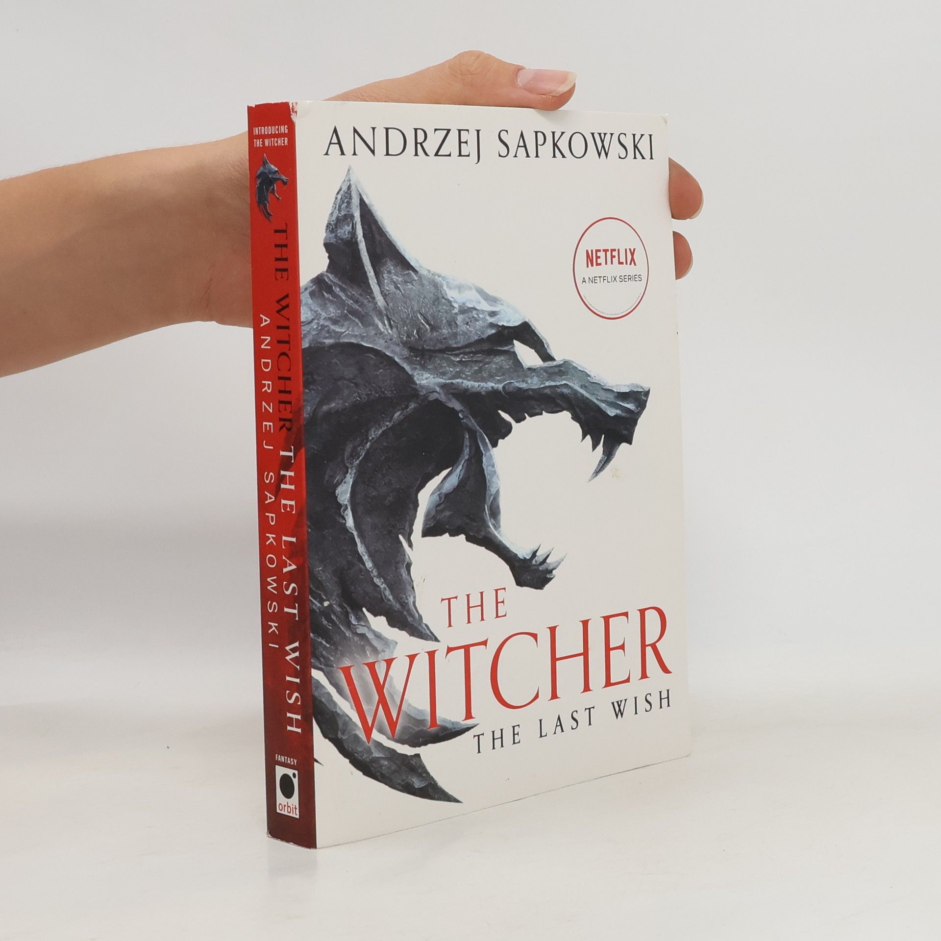 Andrzej Sapkowski The Witcher: The Last Wish