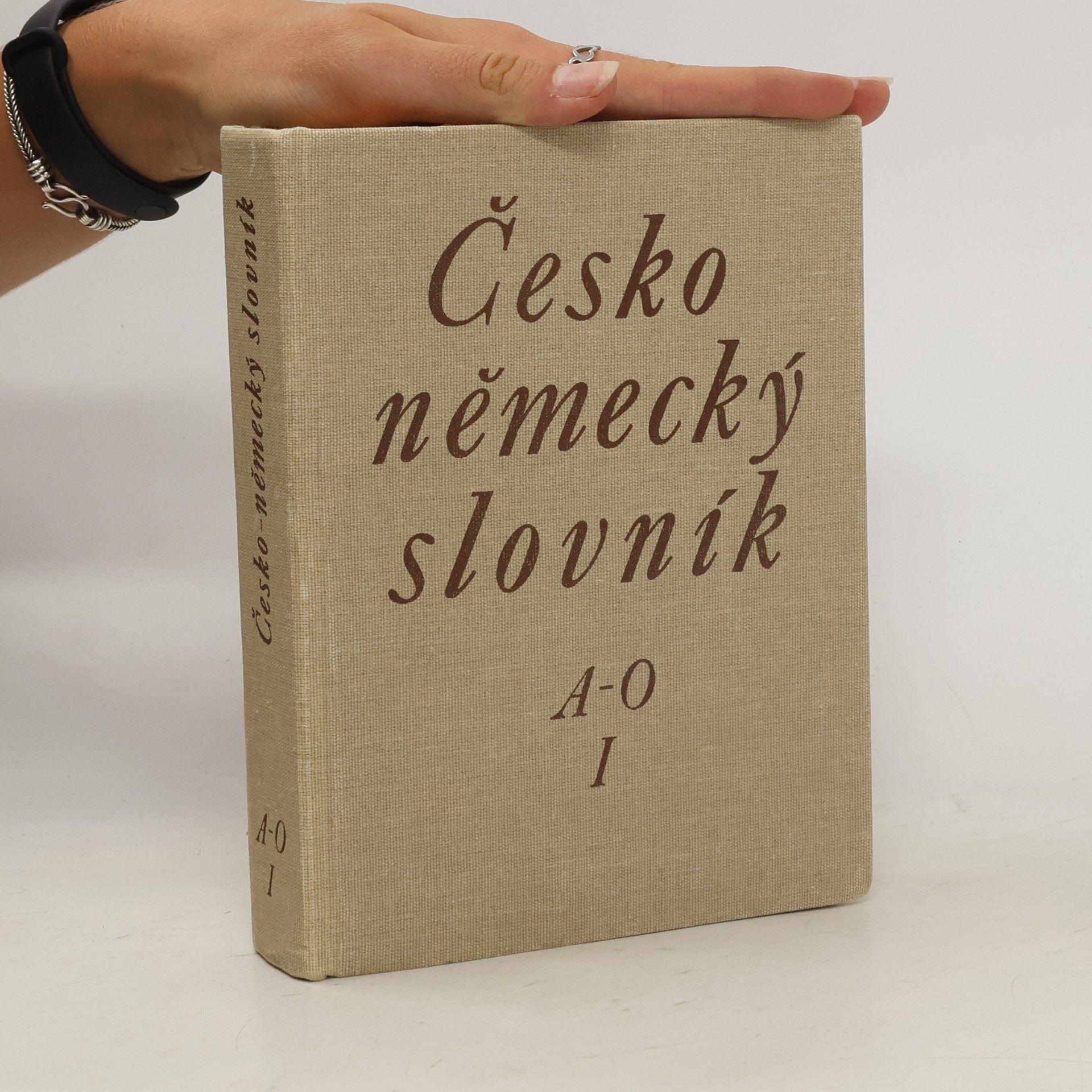 Autorenkollektiv Česko německý slovník I. A-O