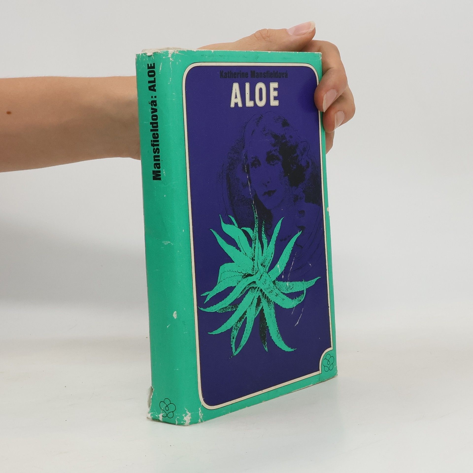 Katherine Mansfield Aloe