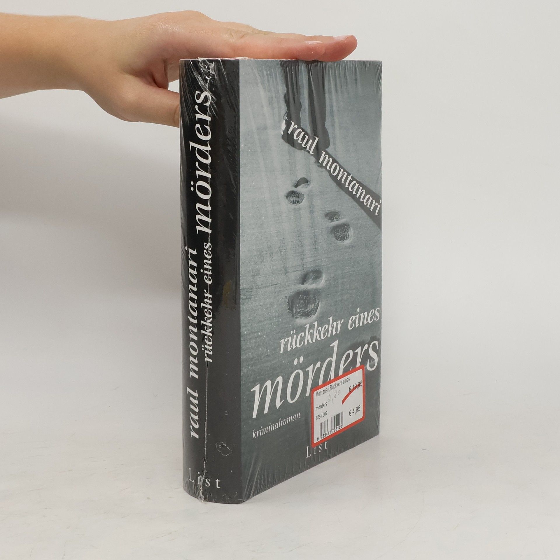 Raul Montanari Rückkehr eines Mörders