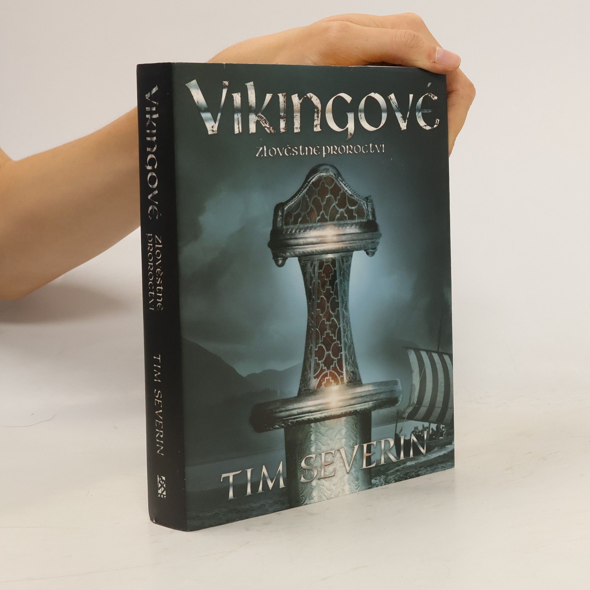 Tim Severin Vikingové 2