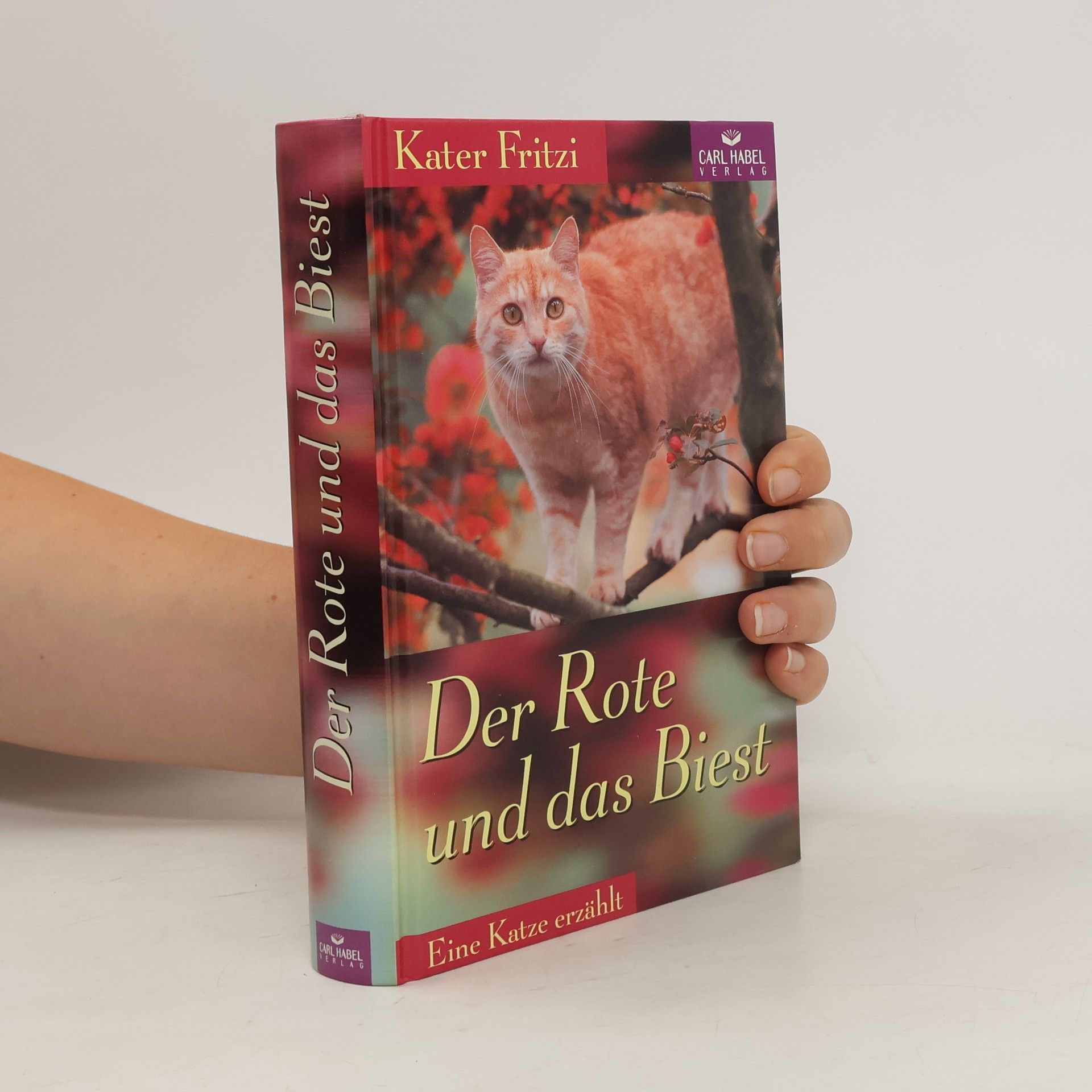 Doris. Malsch Kater Fritzi. Der Rote und das Biest