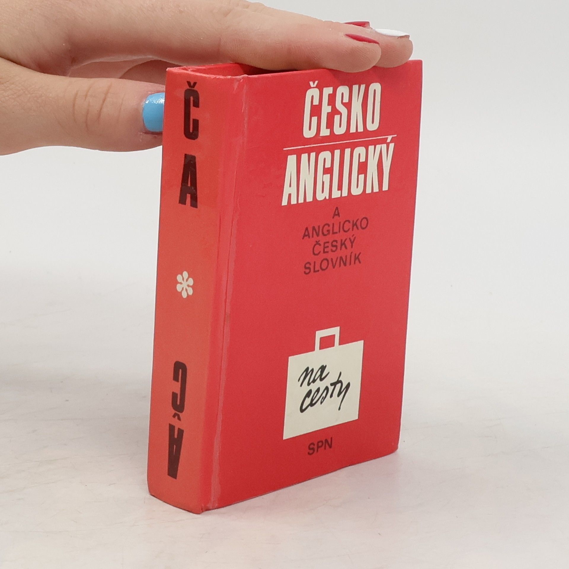 Autorenkollektiv Česko-anglický a anglicko-český slovník na cesty