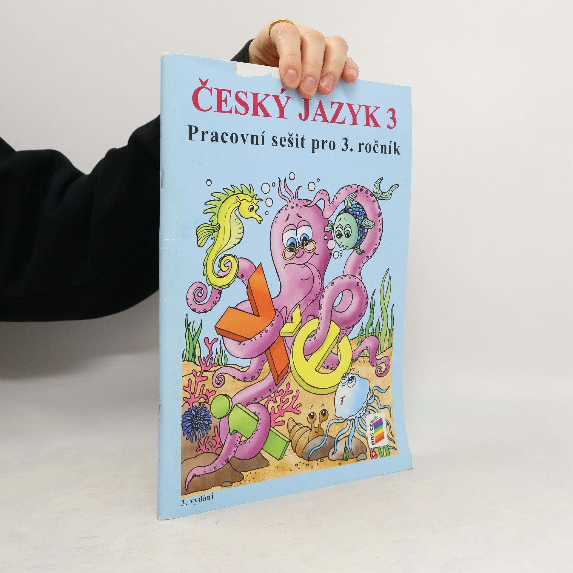 Autorenkollektiv Český jazyk 3. Pracovní sešit pro 3. ročník