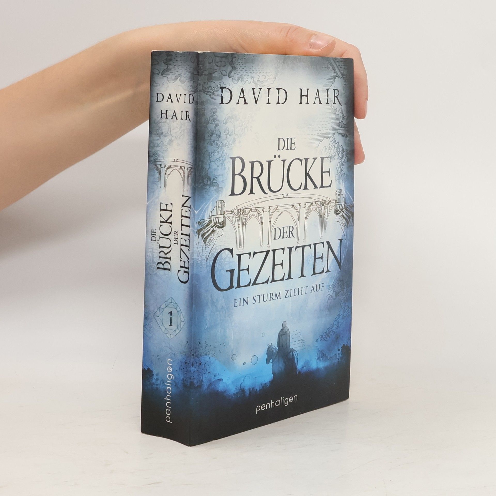David Hair Die Brücke der Gezeiten 1