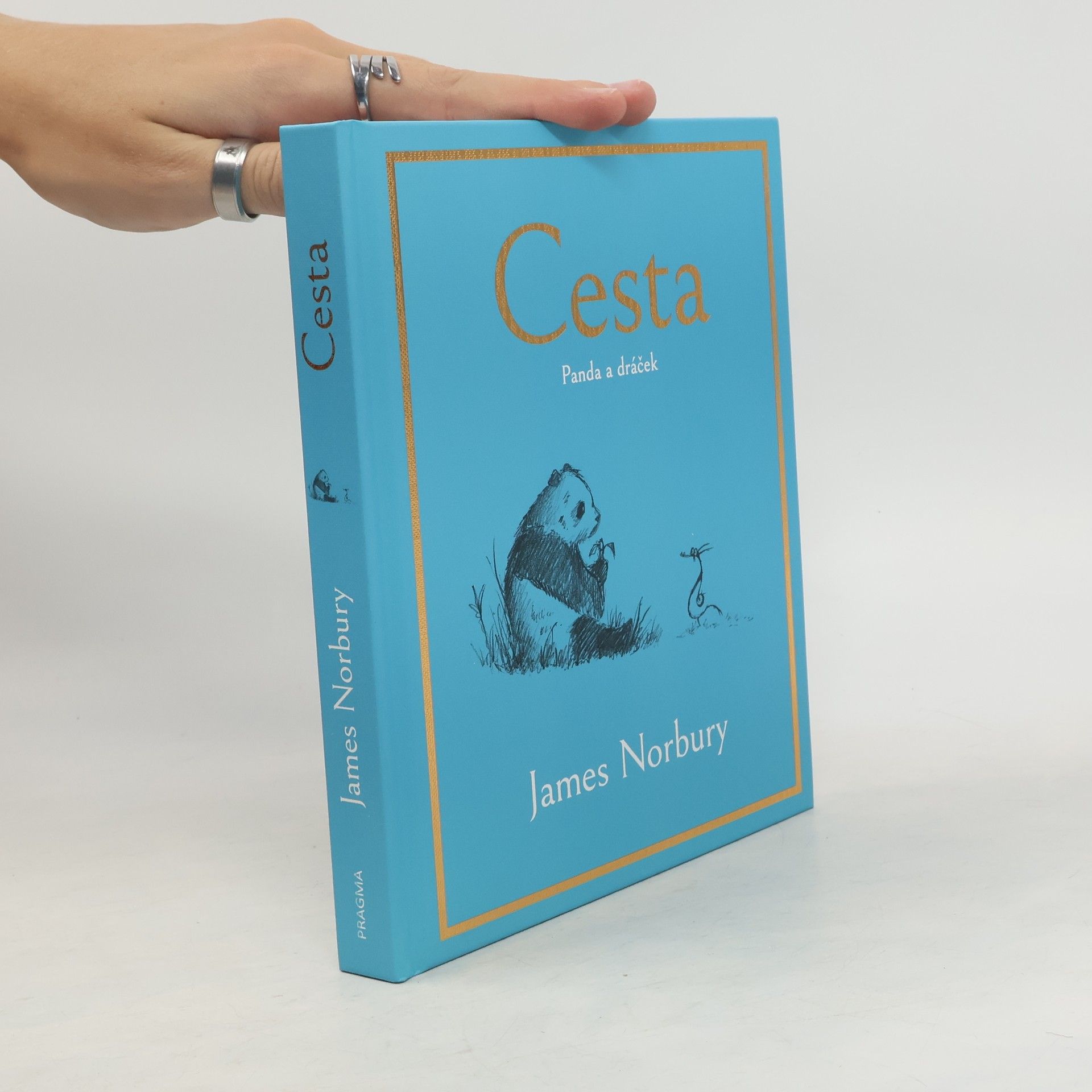 James Norbury Cesta. Panda a dráček