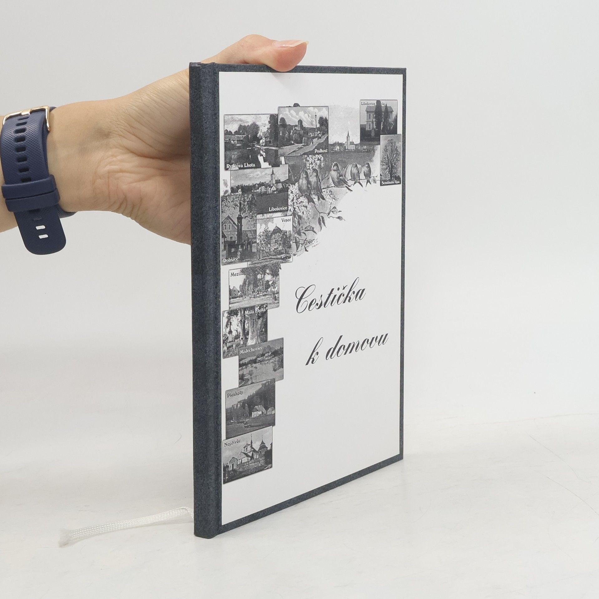 Auteurscollectief Cestička k domovu