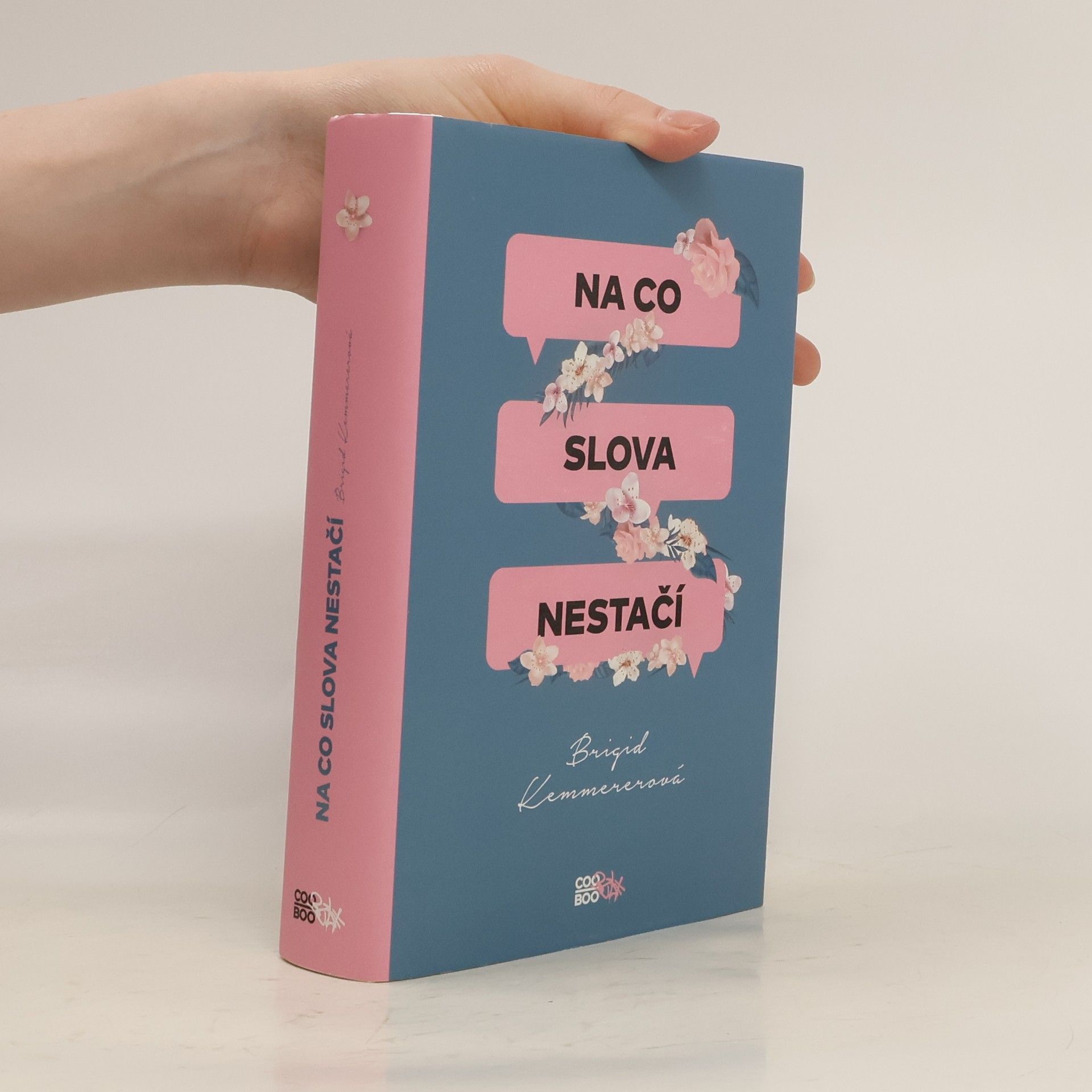 Brigid Kemmerer Na co slova nestačí