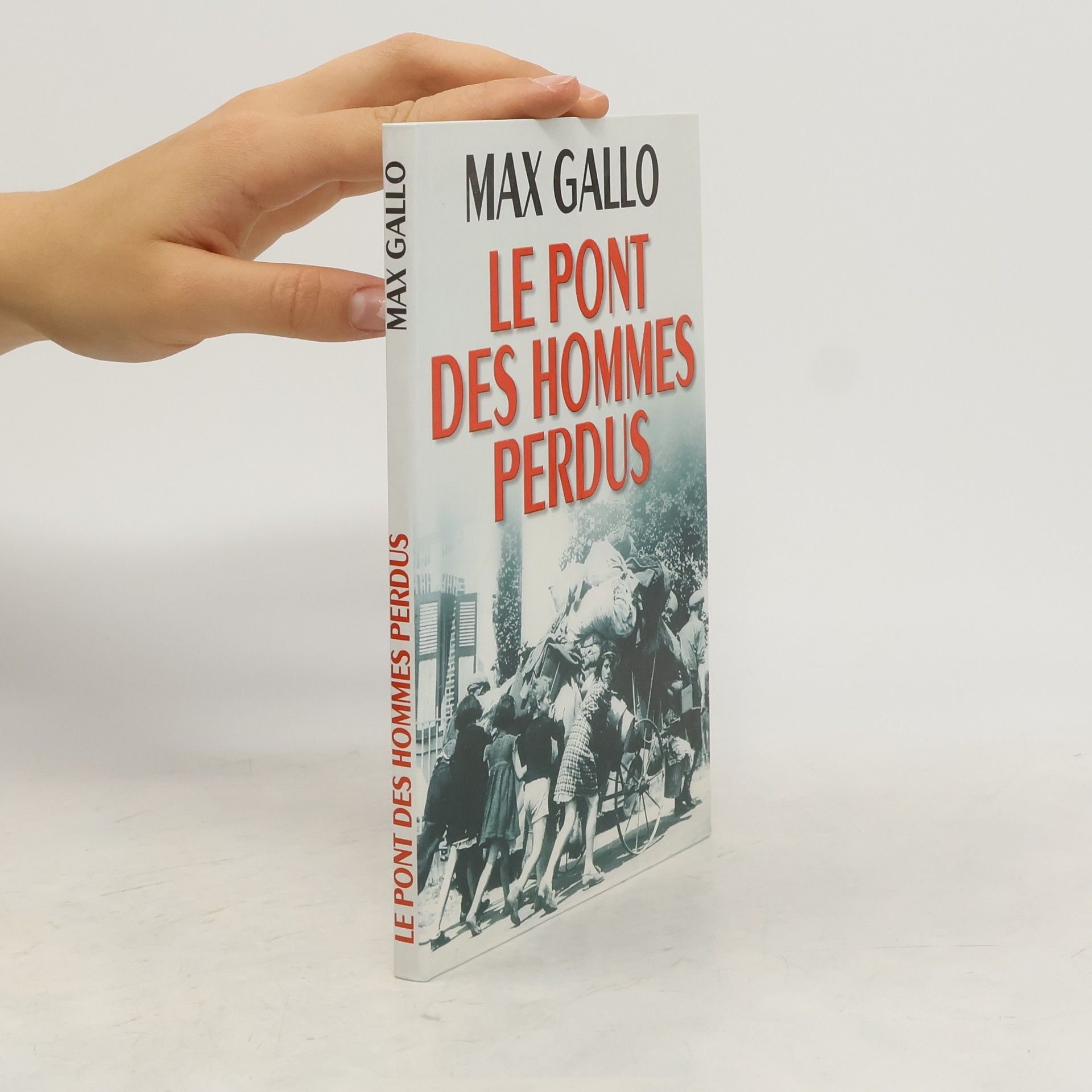 Max Gallo Le pont des hommes perdus