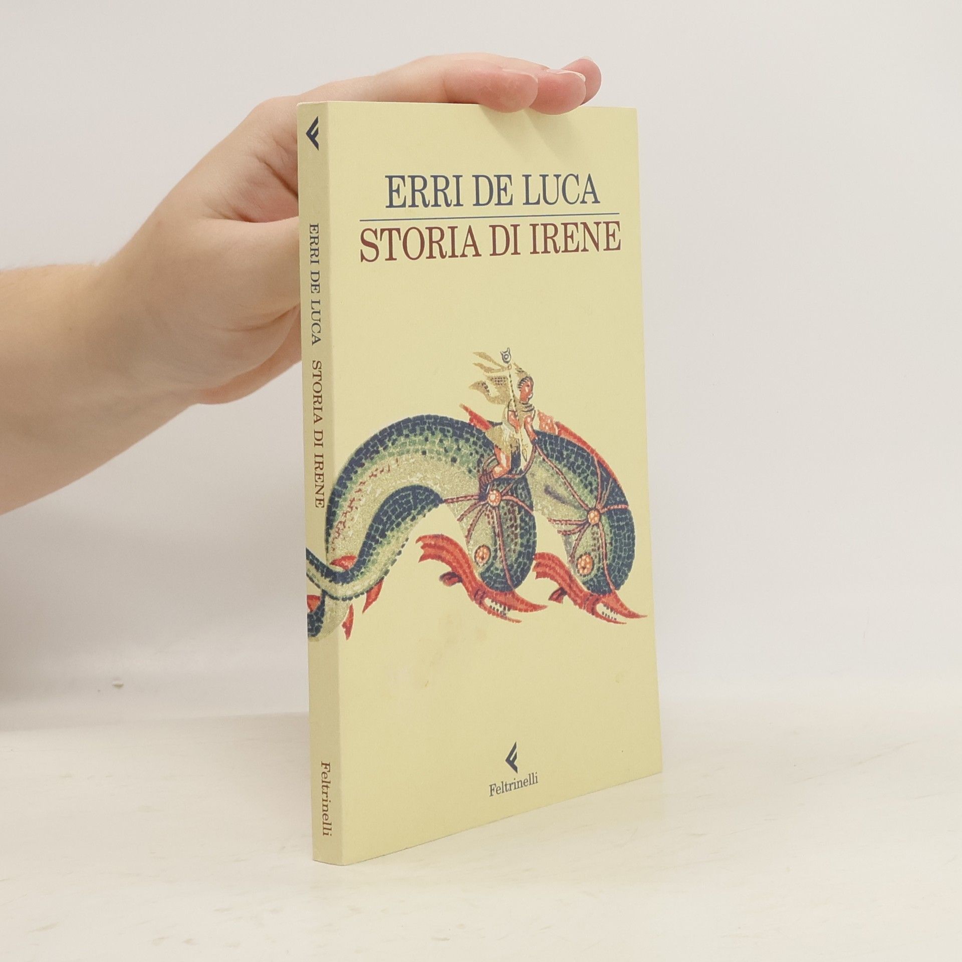 Erri De Luca Storia di Irene