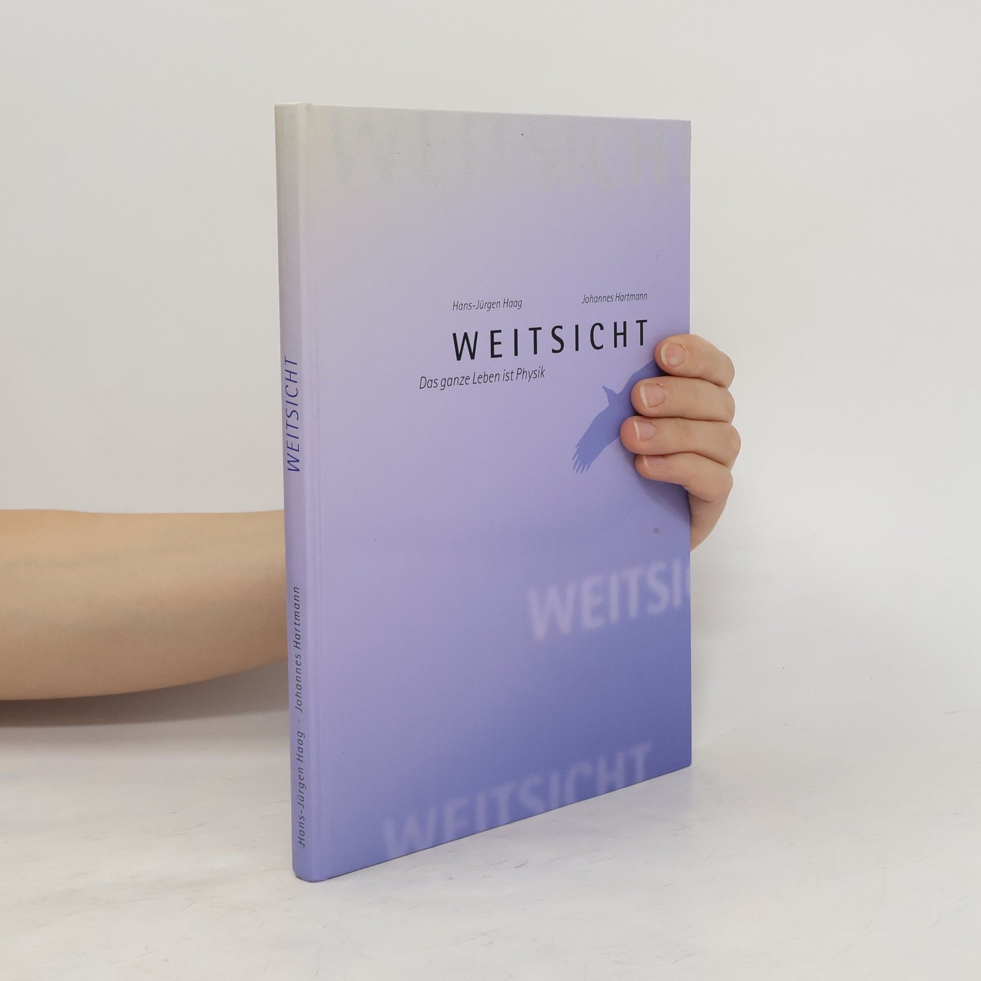 Hans-Jürgen Haag Weitsicht