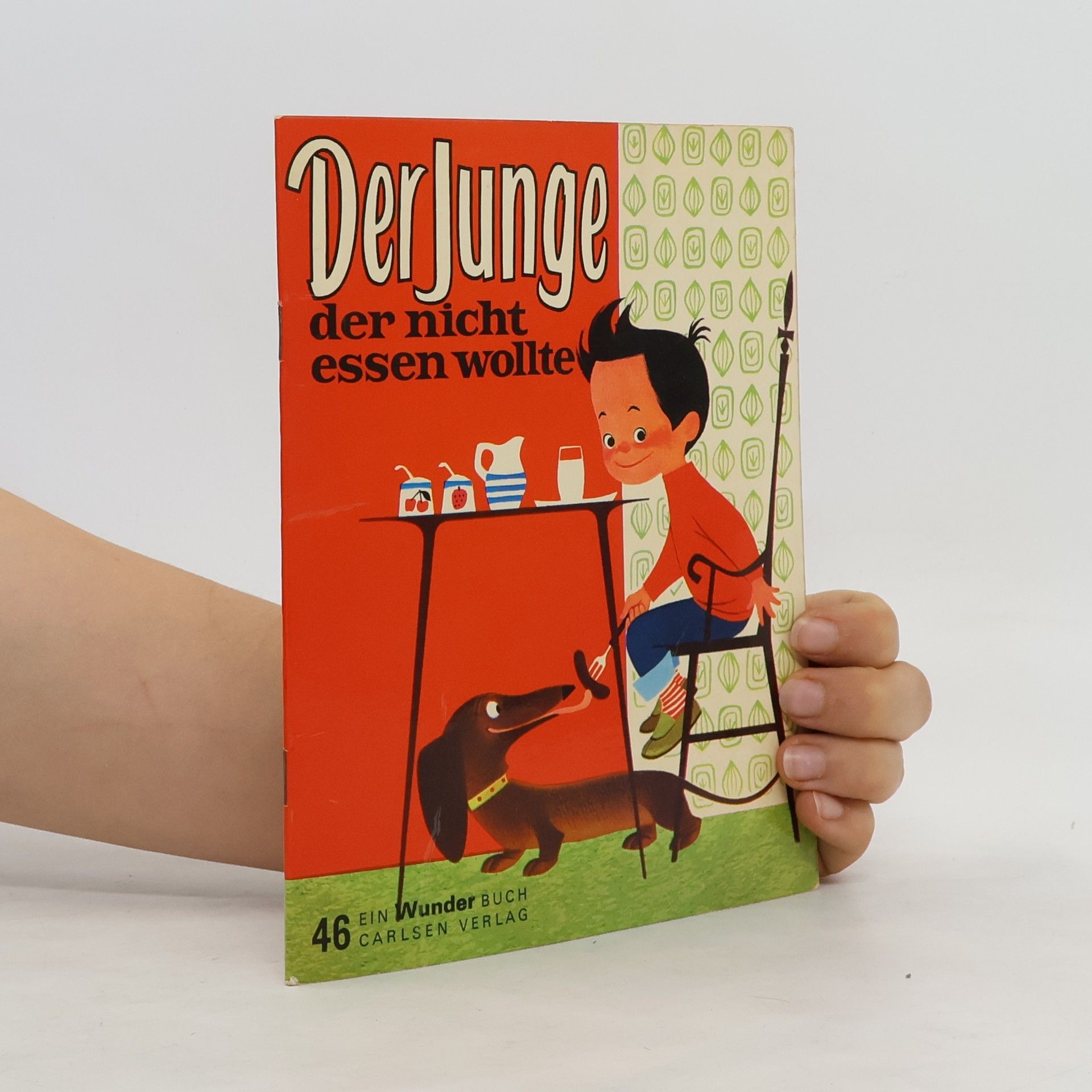 Autorenkollektiv Der Junge, der nich essen wollte