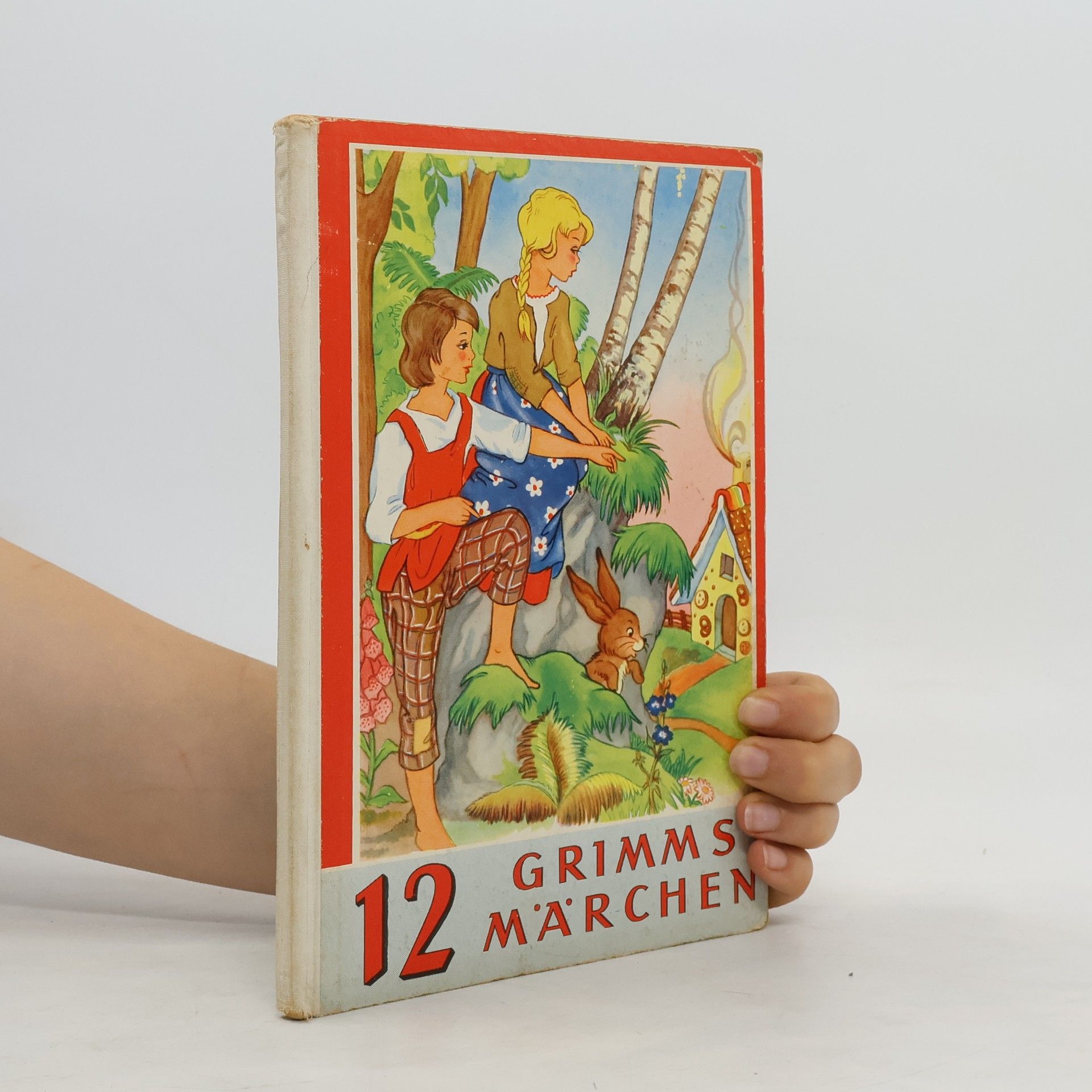 bratři Grimmové 12 Grimms Märchen