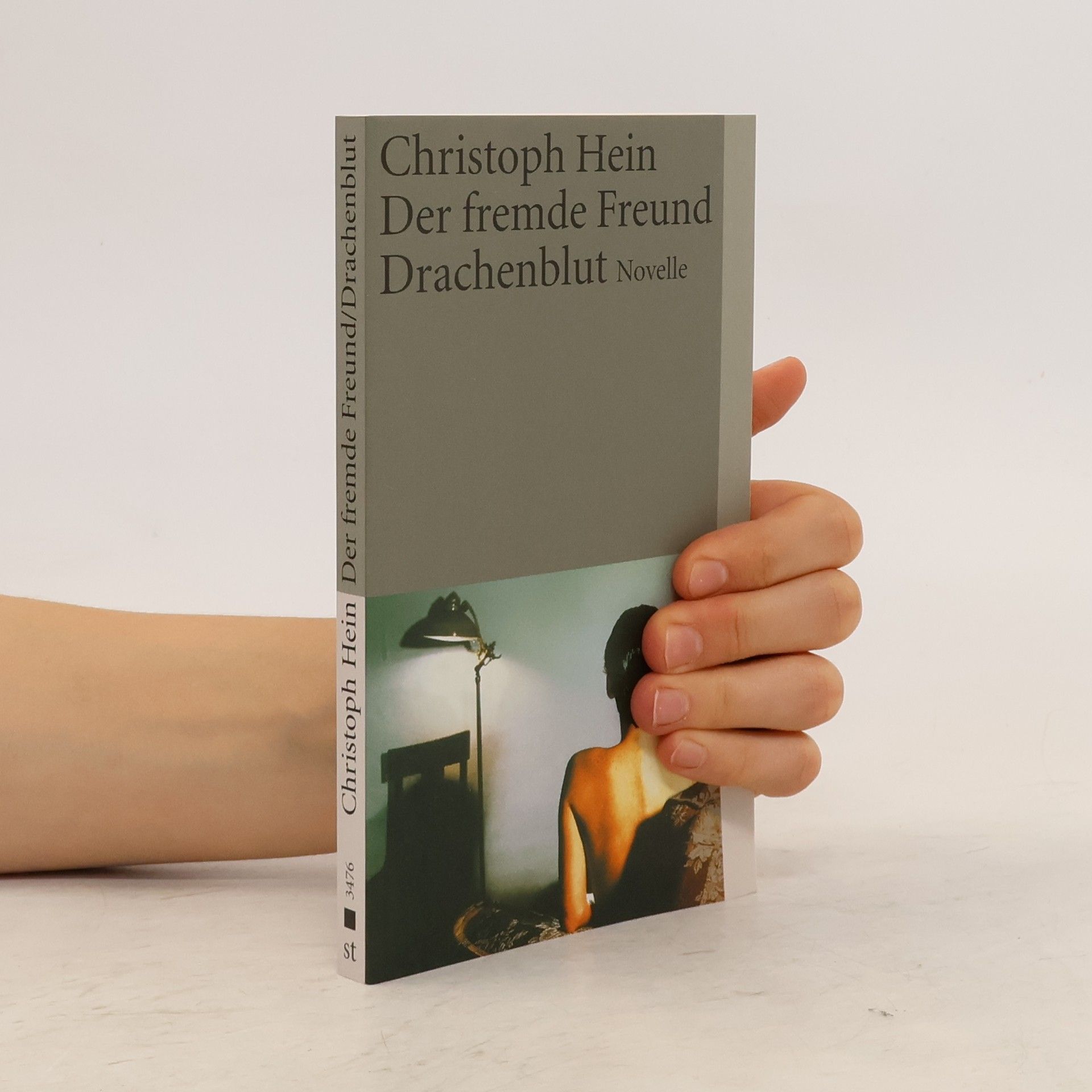 Christoph Hein Der fremde Freund