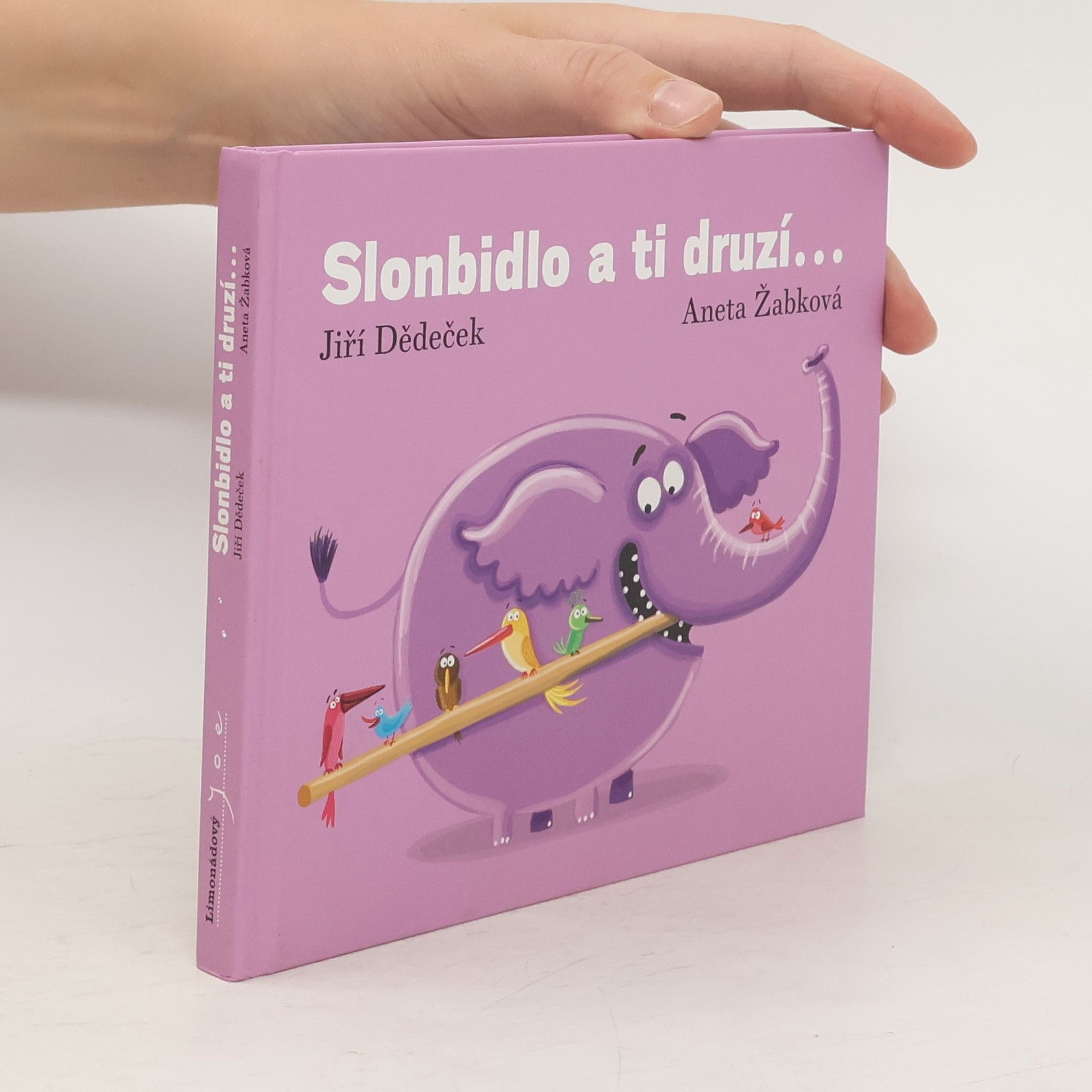 Jiří Dědeček Slonbidlo a ti druzí...