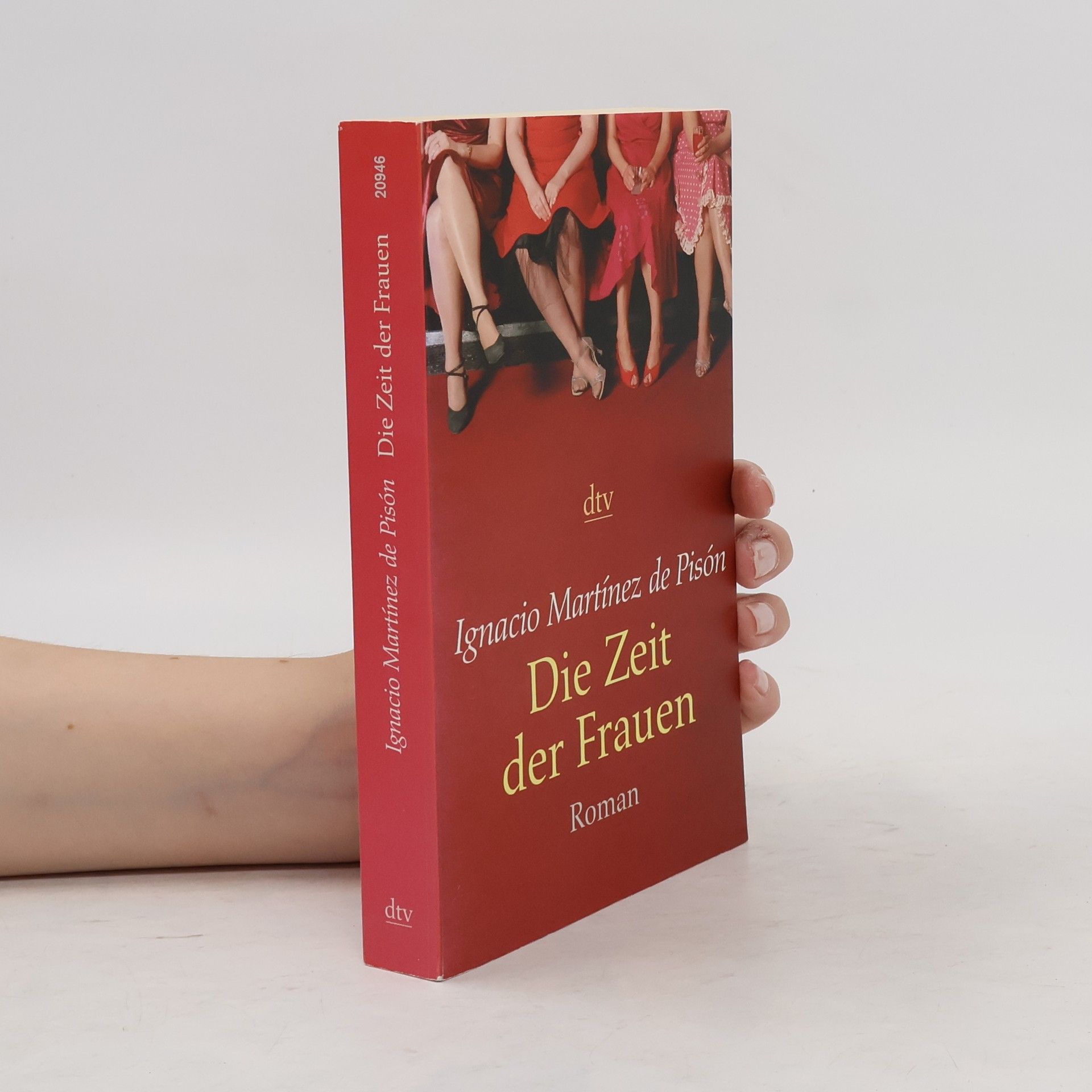 Ignacio Martínez de Pisón Die Zeit der Frauen