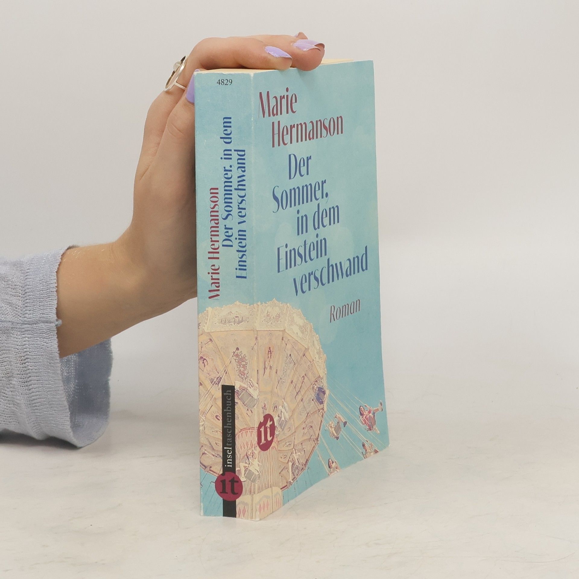 Marie Hermanson Der Sommer, in dem Einstein verschwand