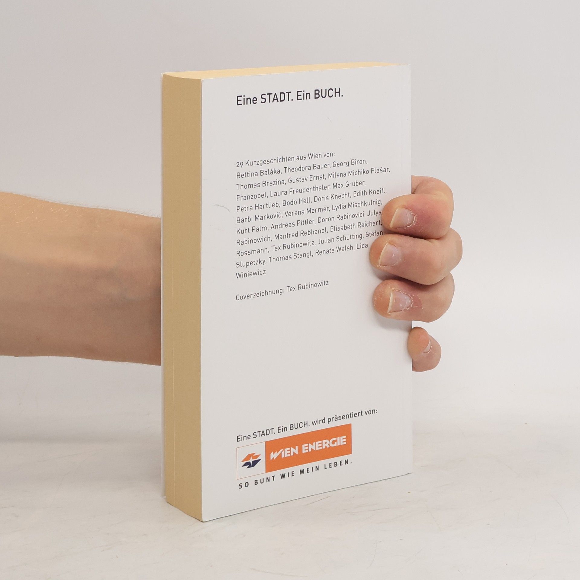 Various authors 29 Kurzgeschichten aus Wien