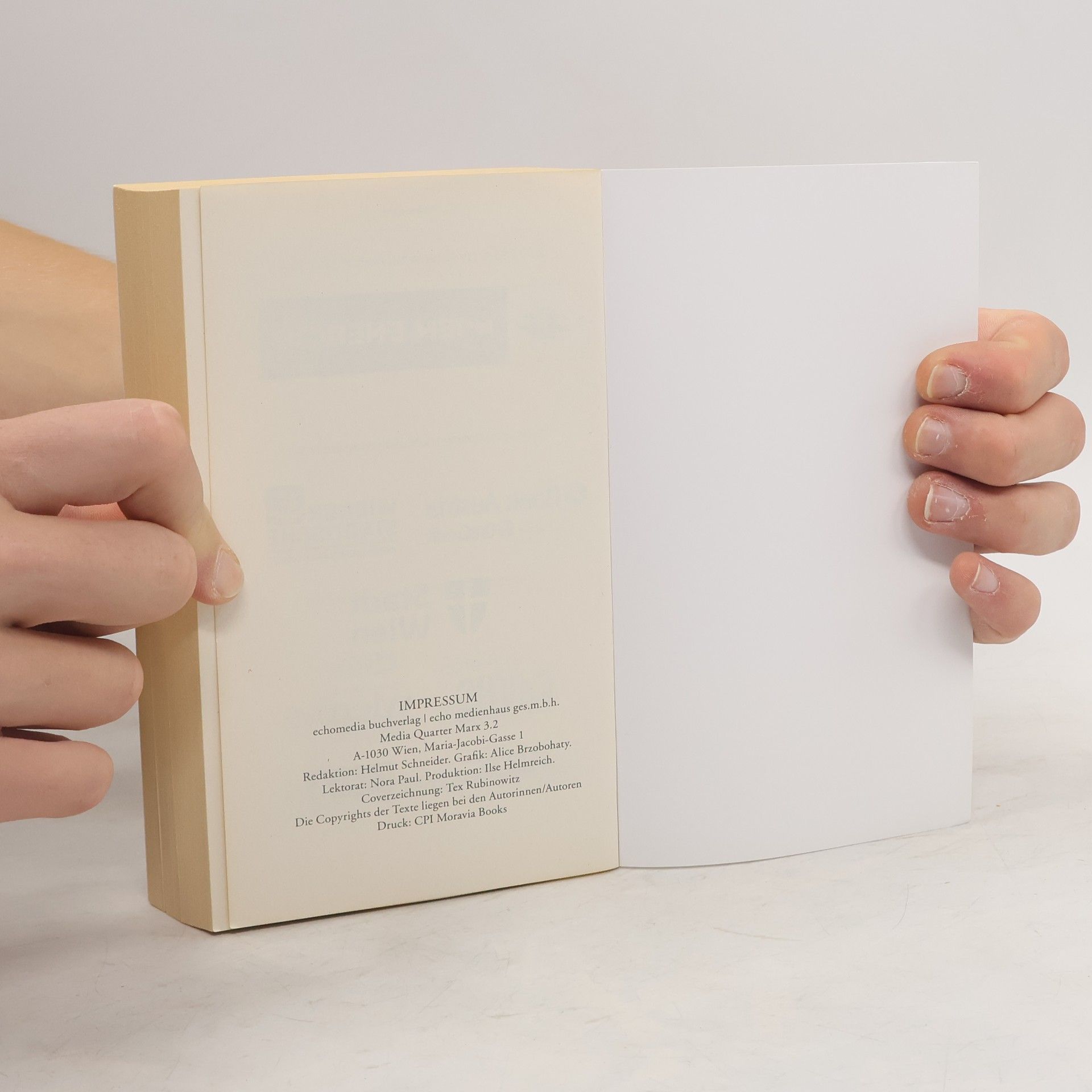Various authors 29 Kurzgeschichten aus Wien