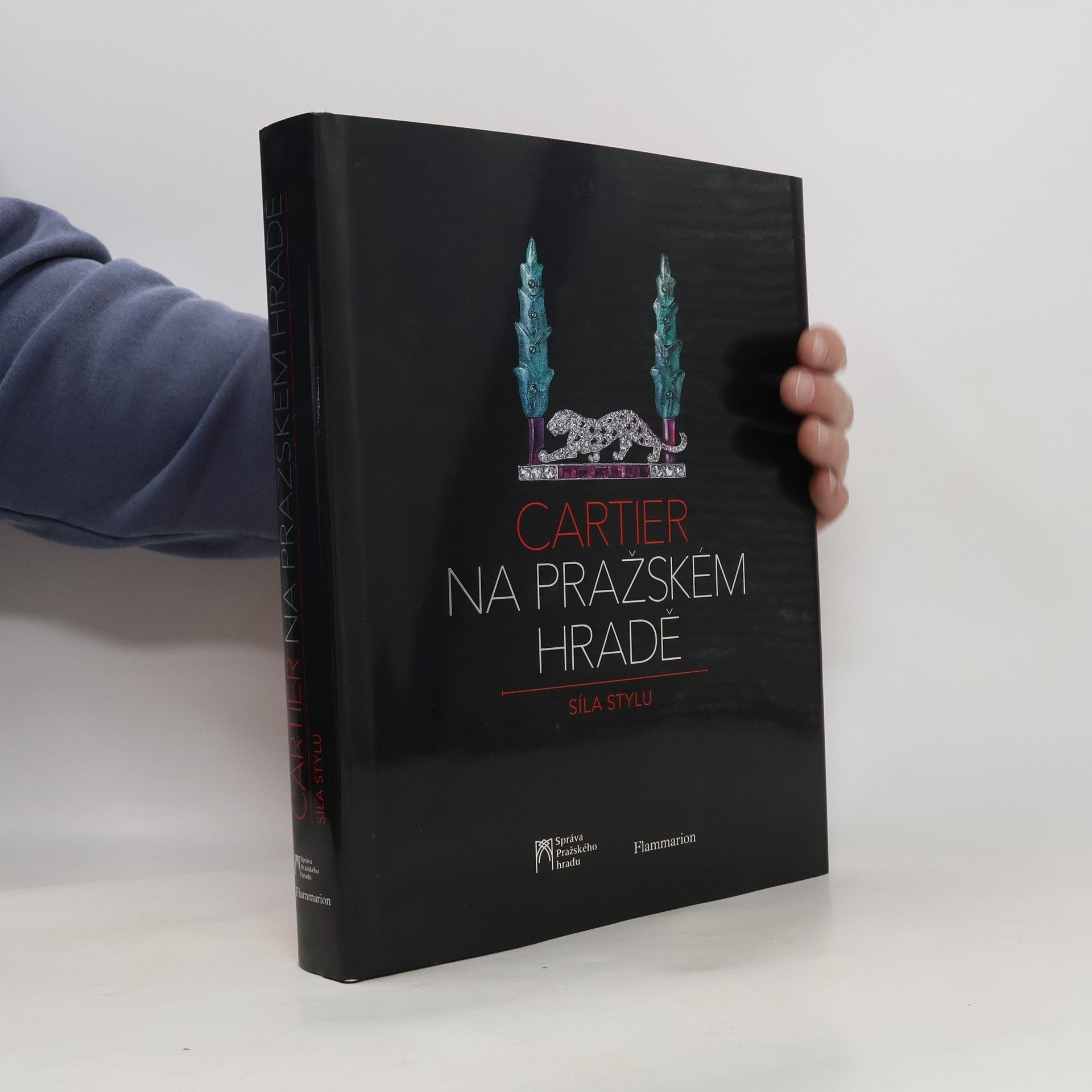 Collectif d'auteurs Cartier na Pražském hradě. Síla stylu