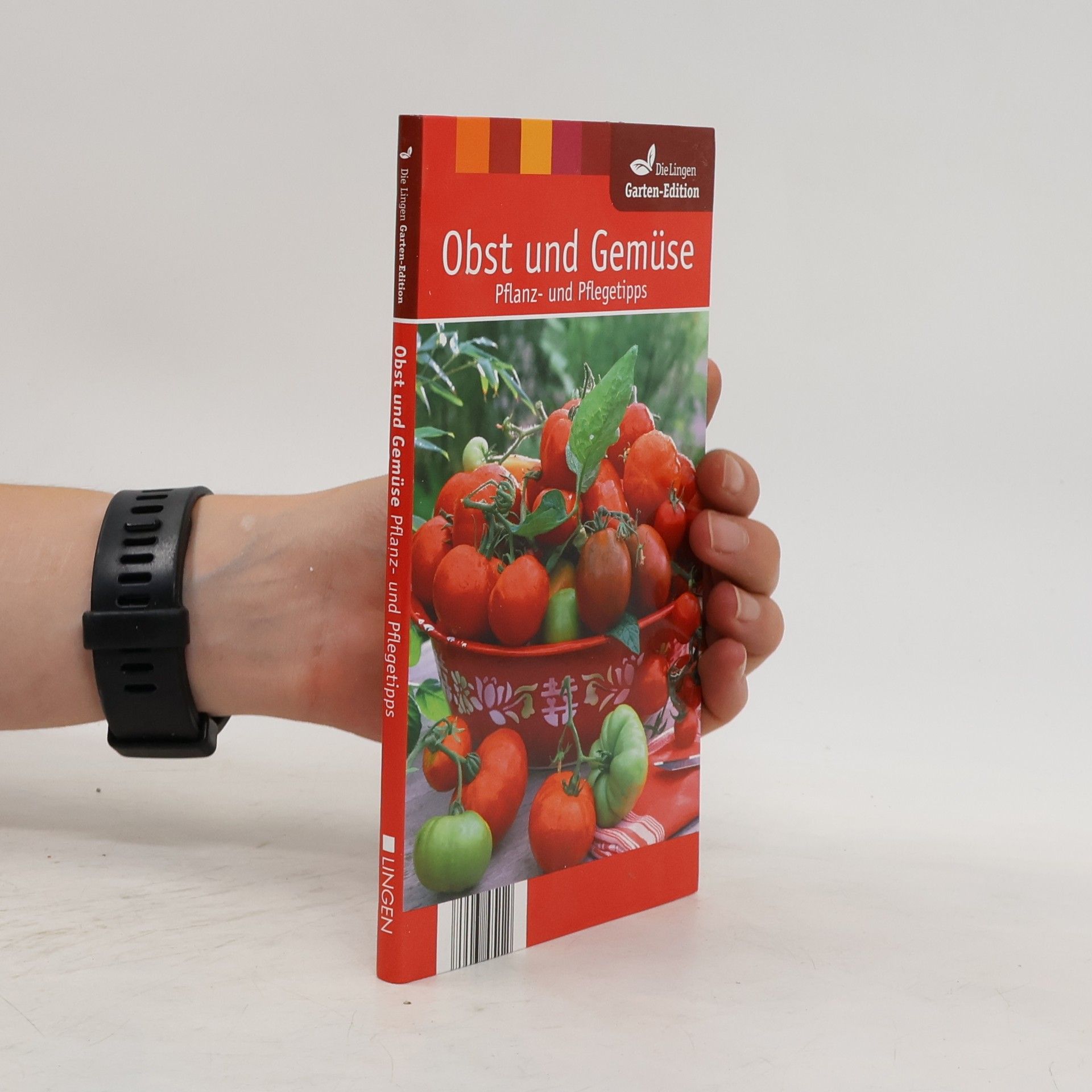 Autorenkollektiv Obst und Gemüse