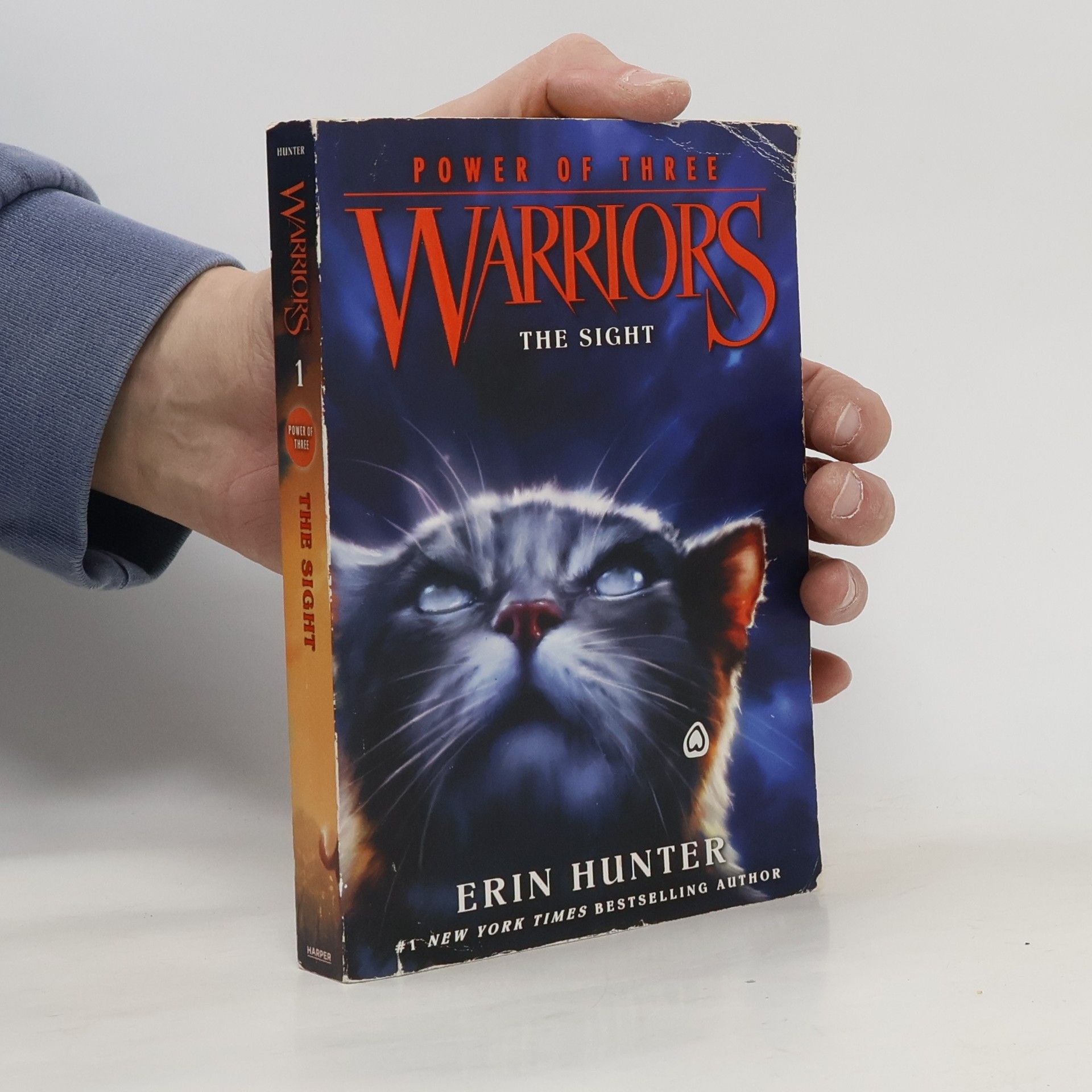 Erin Hunter Warriors. Power of Three 1. The Sight