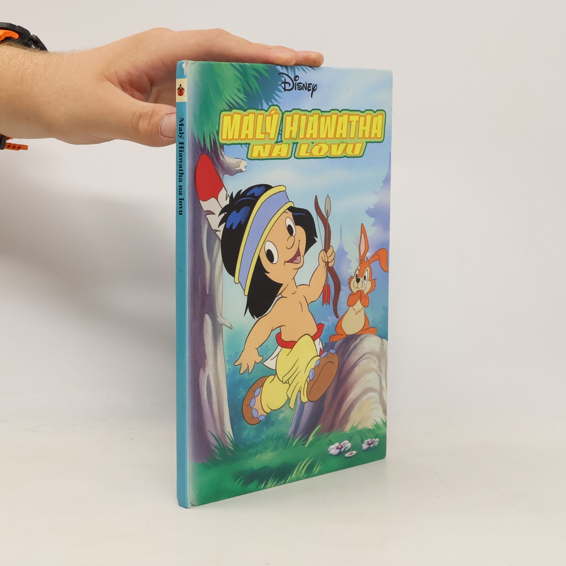Walt Disney Malý Hiawatha na lovu