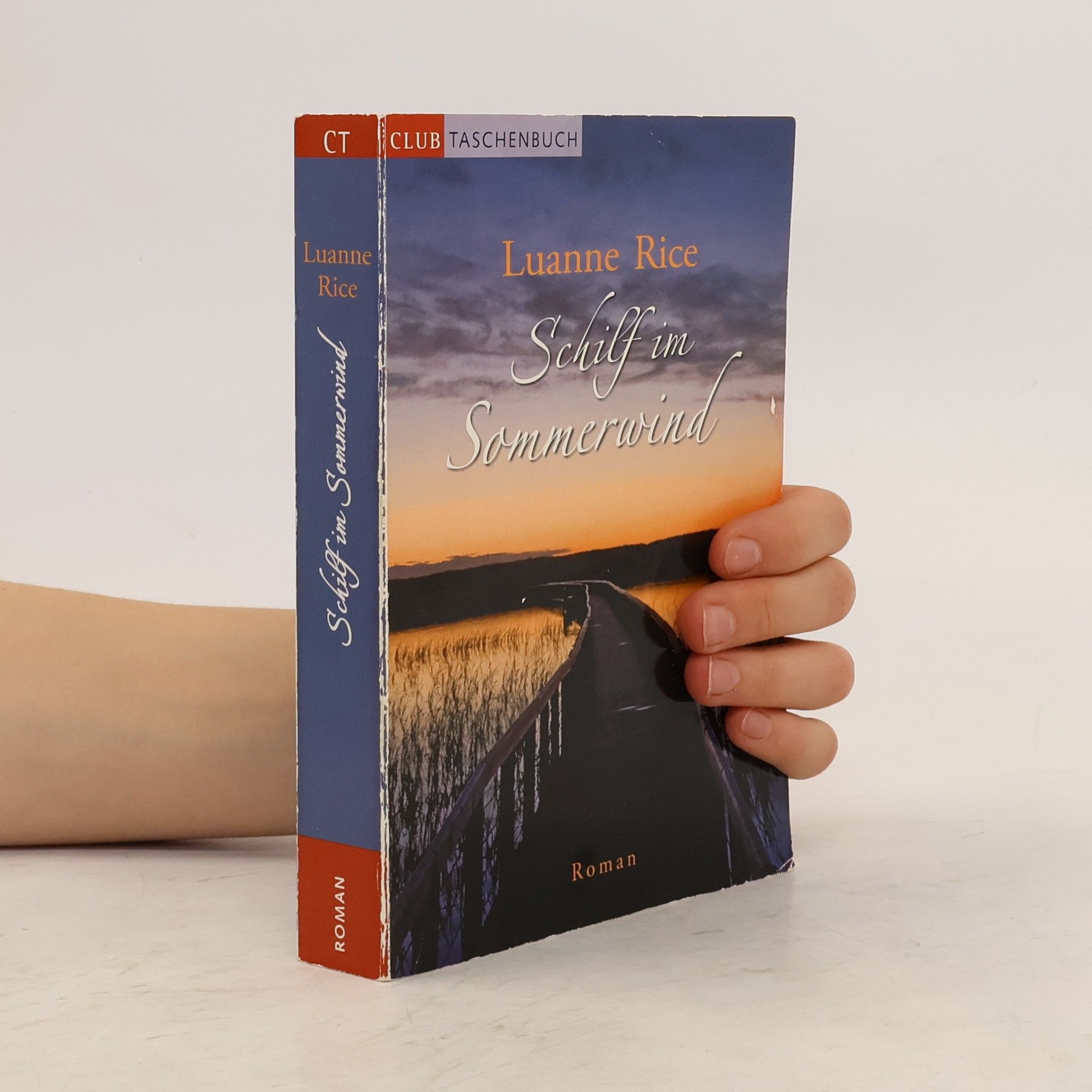 Luanne Rice Schilf im Sommerwind