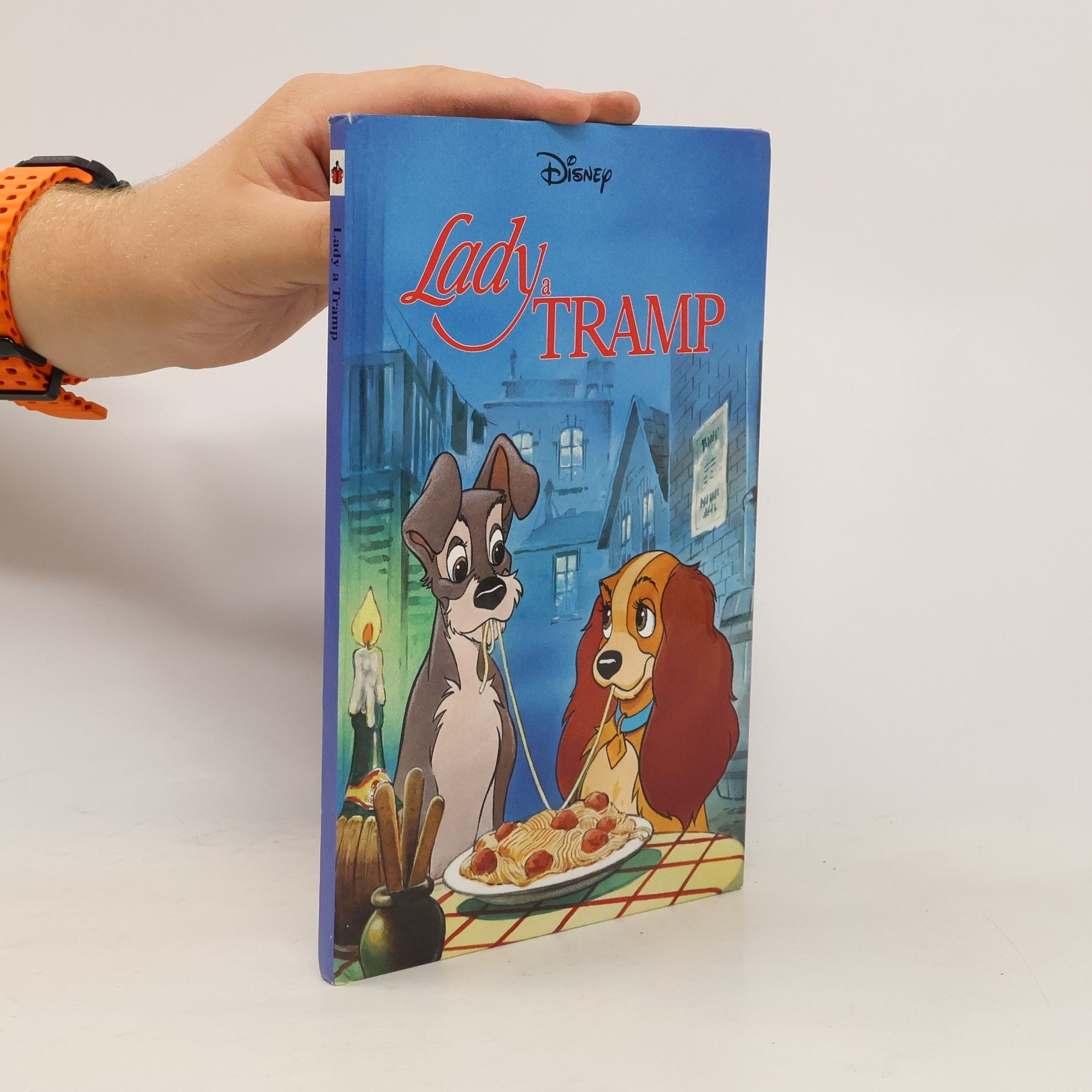 Kolektiv autorů Lady a Tramp