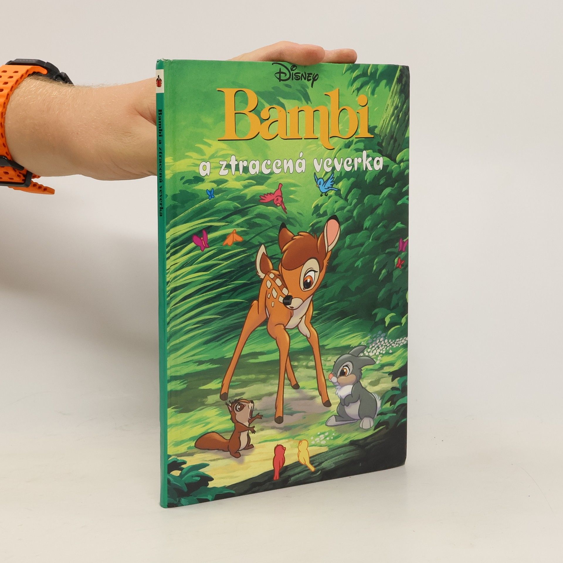 Collectif d'auteurs Bambi a ztracená veverka