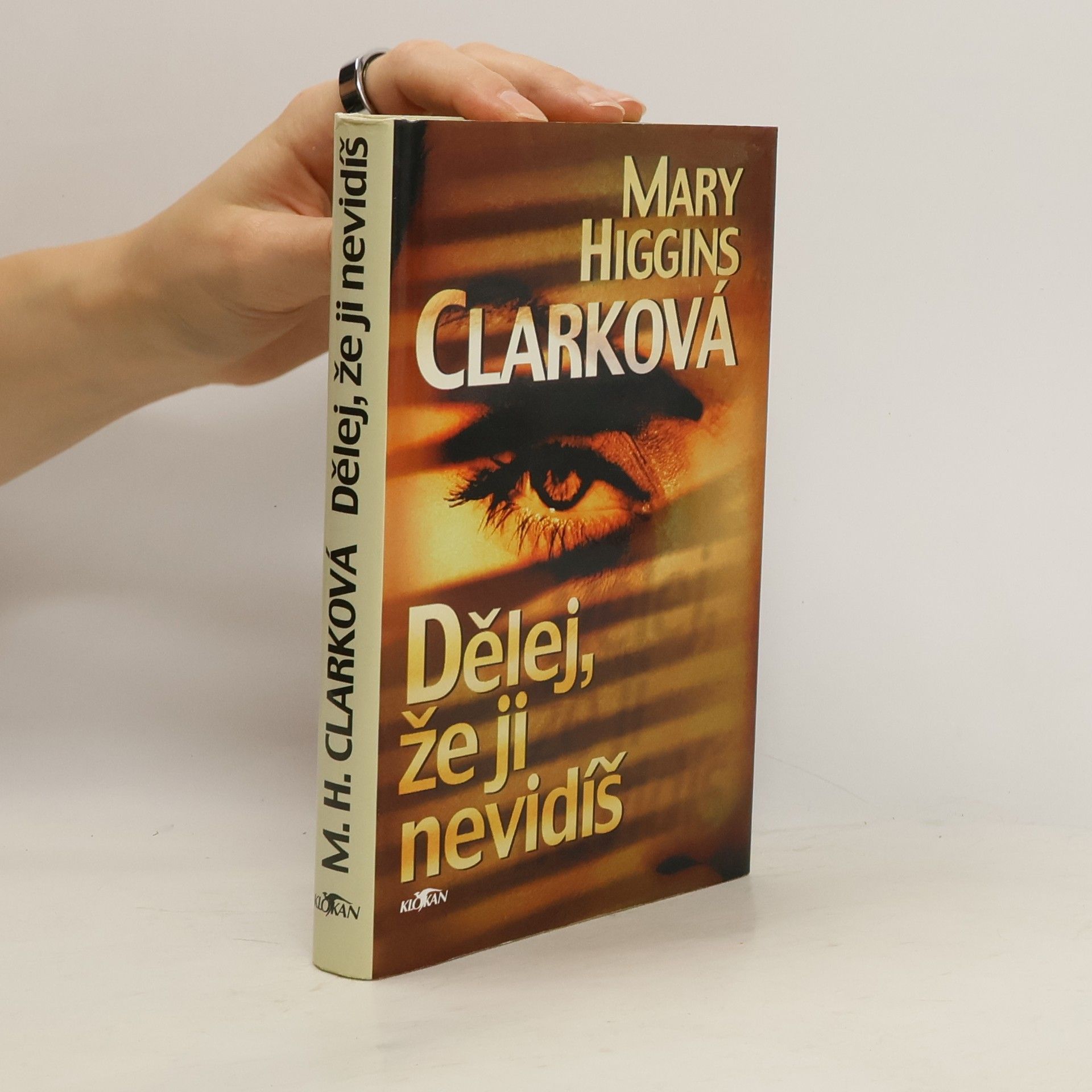 Mary Higginsová Clarková Dělej, že ji nevidíš