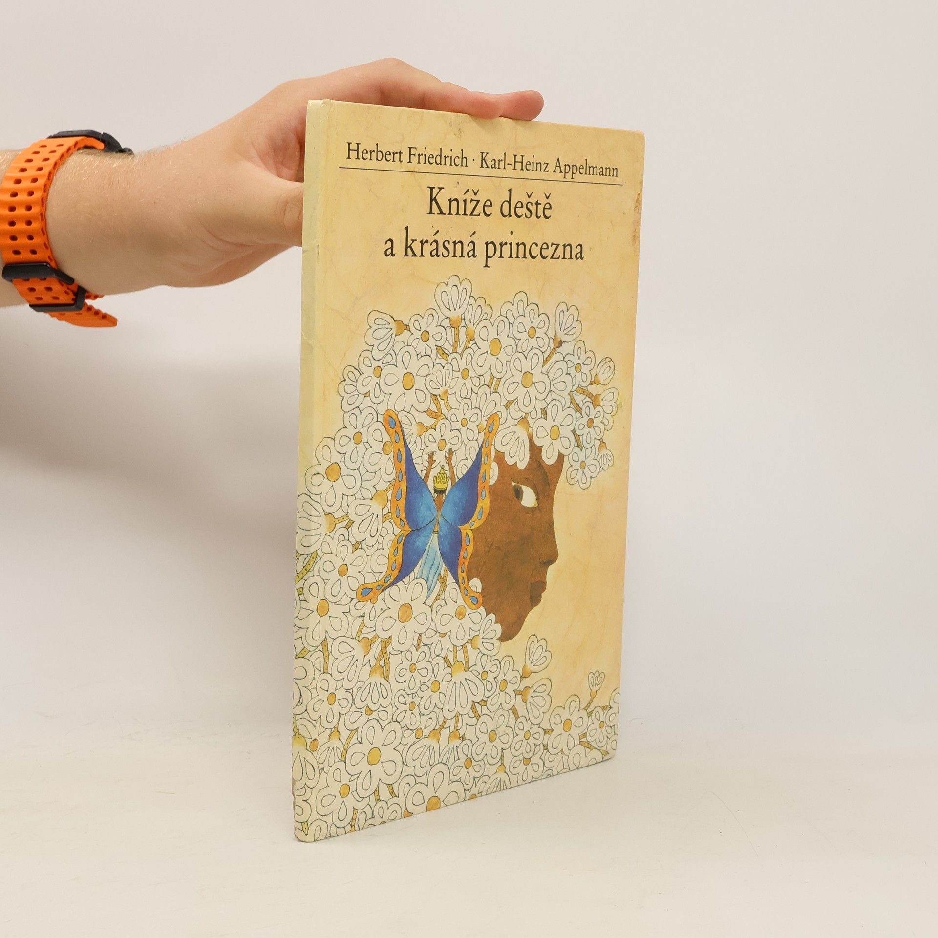 Herbert Friedrich Kníže deště a krásná princezna